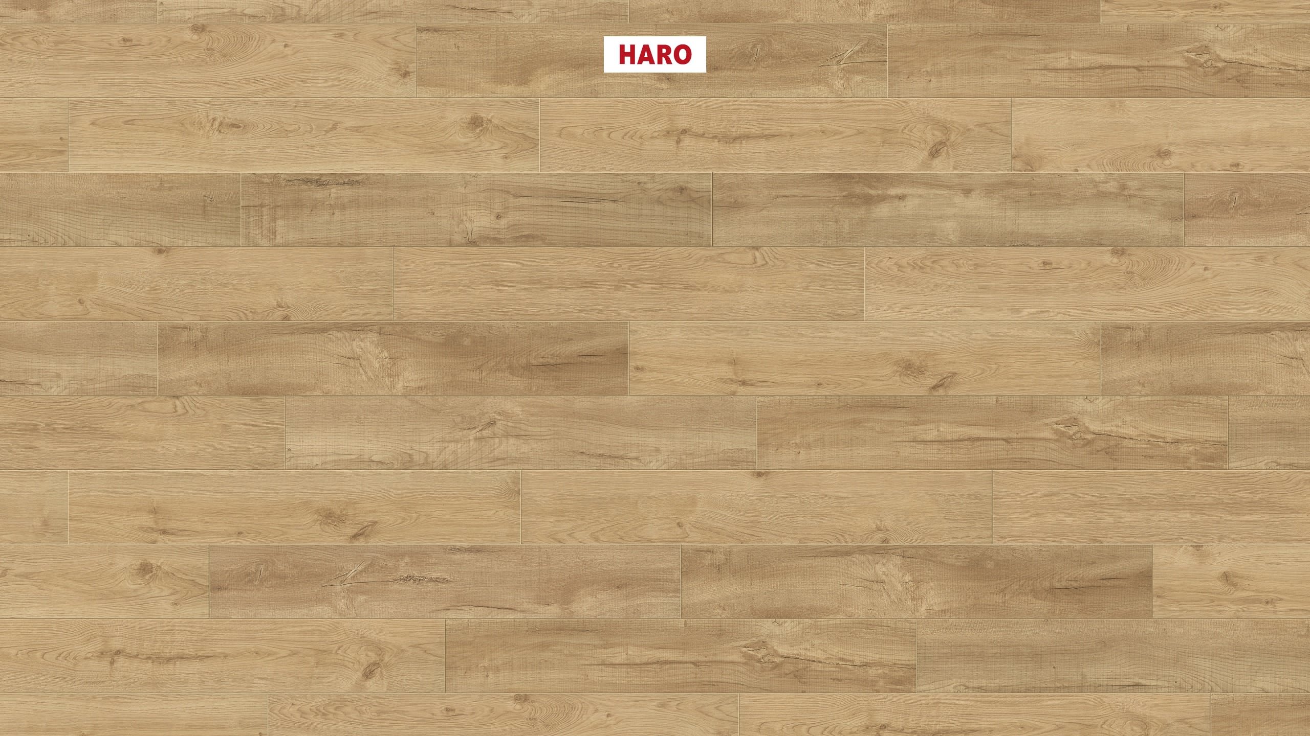 HARO Korkboden Eiche Portland invisible strukturiert | Arteo XL 4V-4018427505837