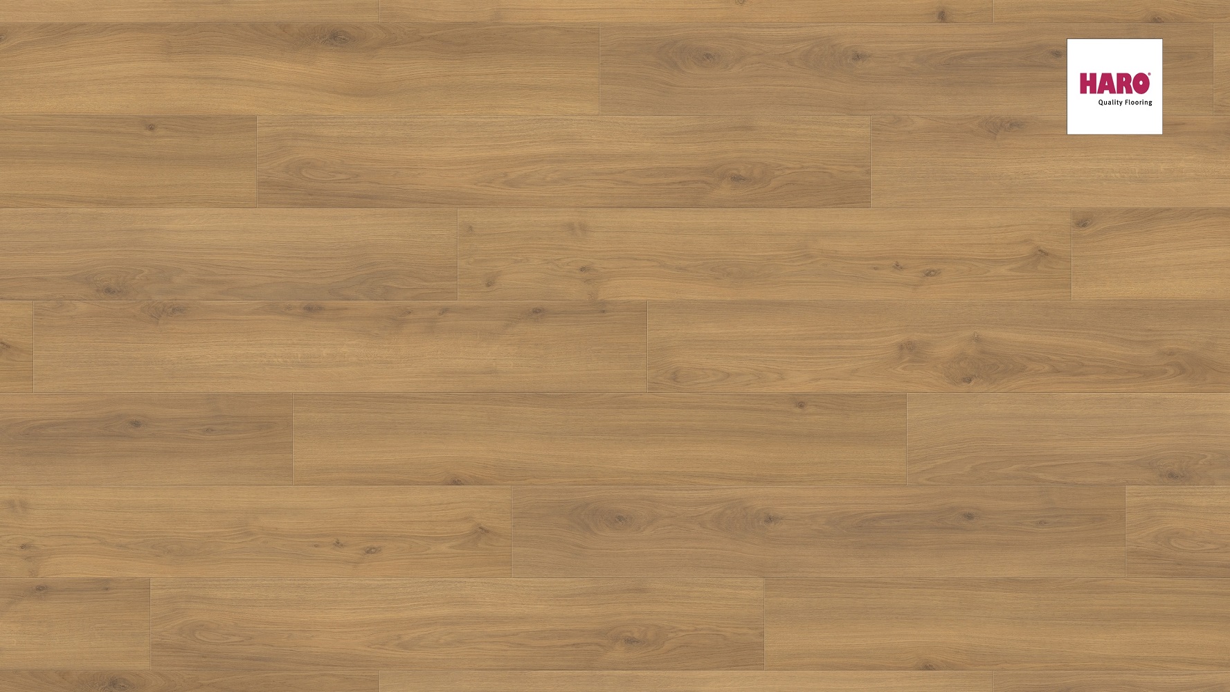 HARO Laminat Eiche Emilia Honig Landhausdiele 4V | Tritty 100 | 17 m²-4018427439507