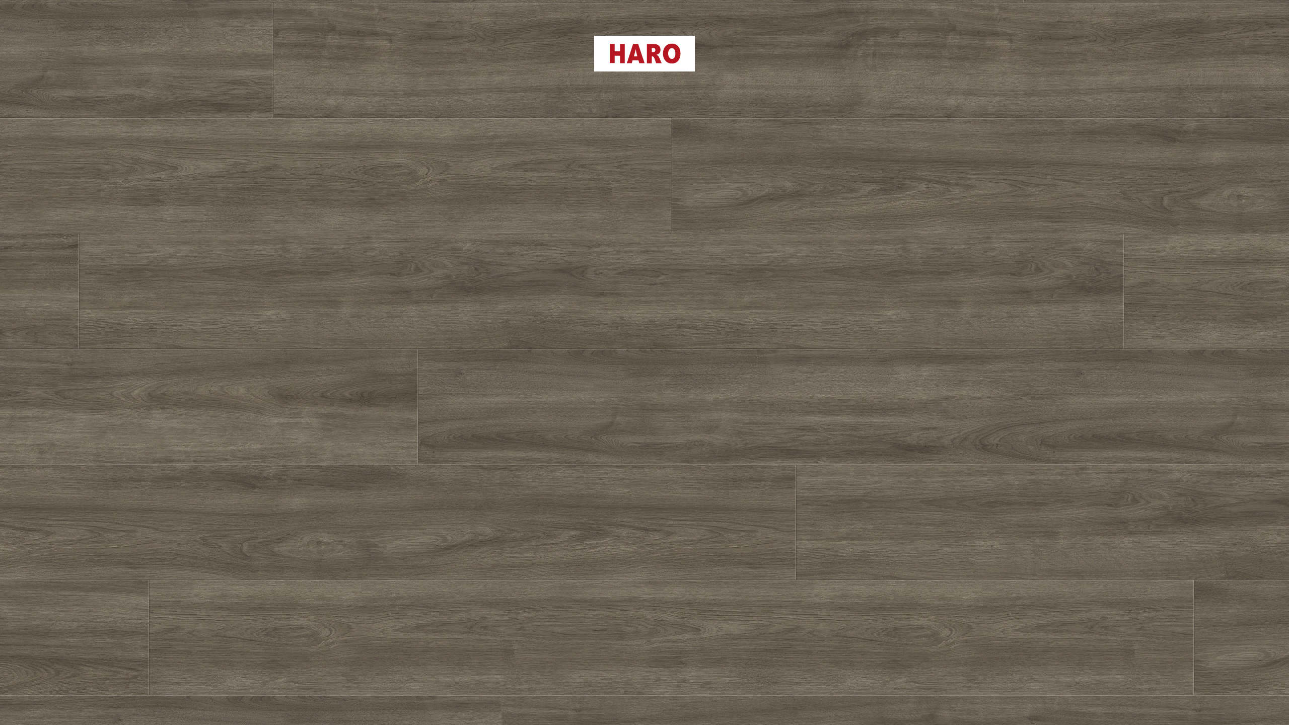 HARO Laminat Eiche Eleganza antikgrau Landhausdiele 4V | Tritty 200 Aqua Gran Via | 2.Wahl | 26 m²-4018427476038