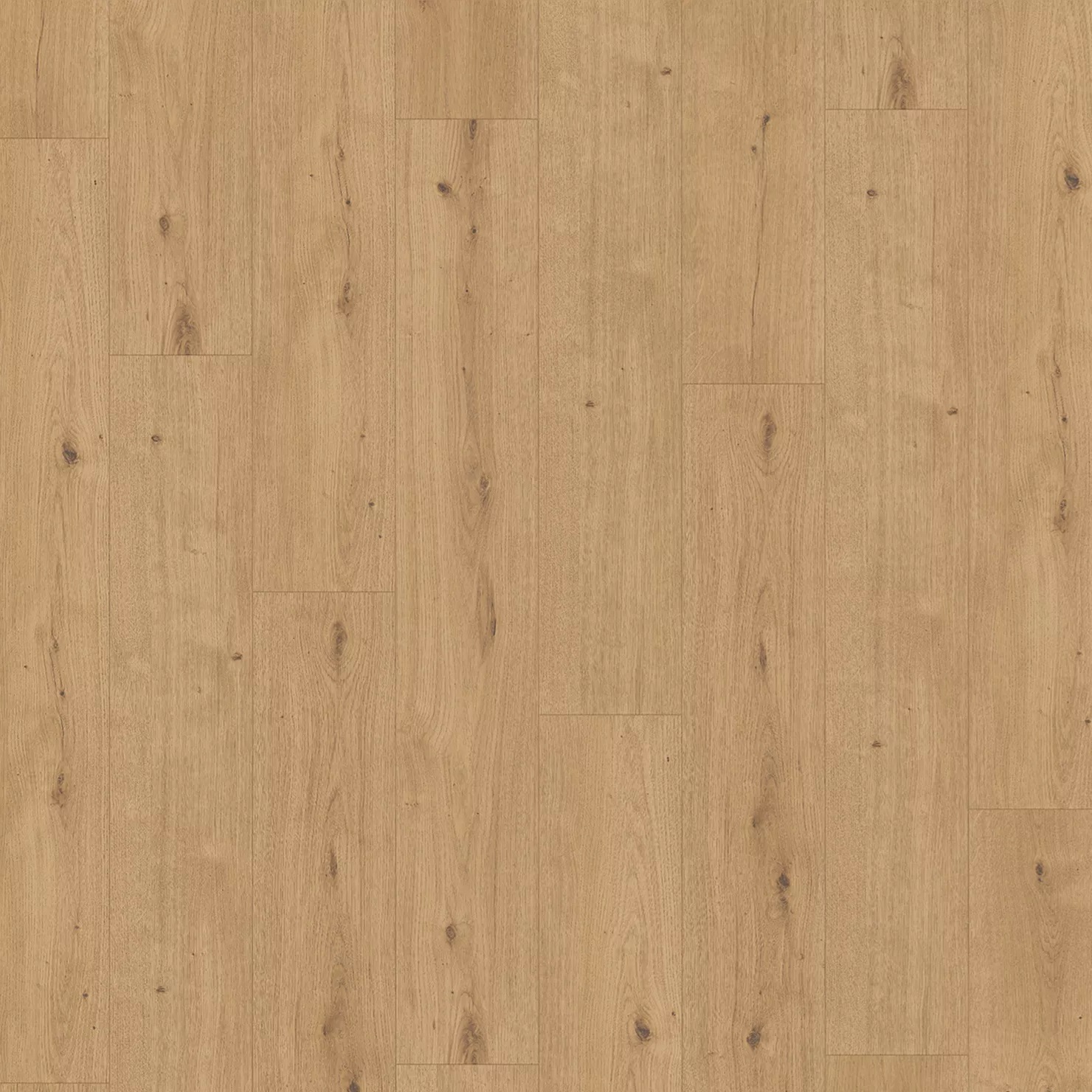 PARADOR Designboden Eiche Cosmos natur Landhausdiele Holzstruktur 4-seitige Fase | Modular ONE-4014809275787