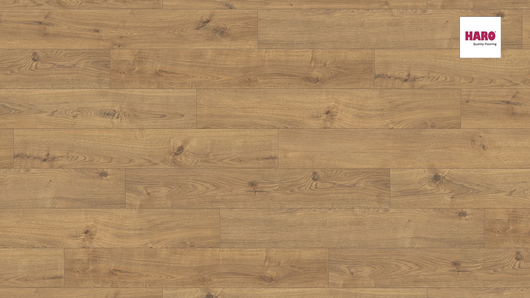 HARO Laminat Eiche Portland natur Landhausdiele 4V | Tritty 100 Campus | 2.Wahl | 12 m²-4018427400651