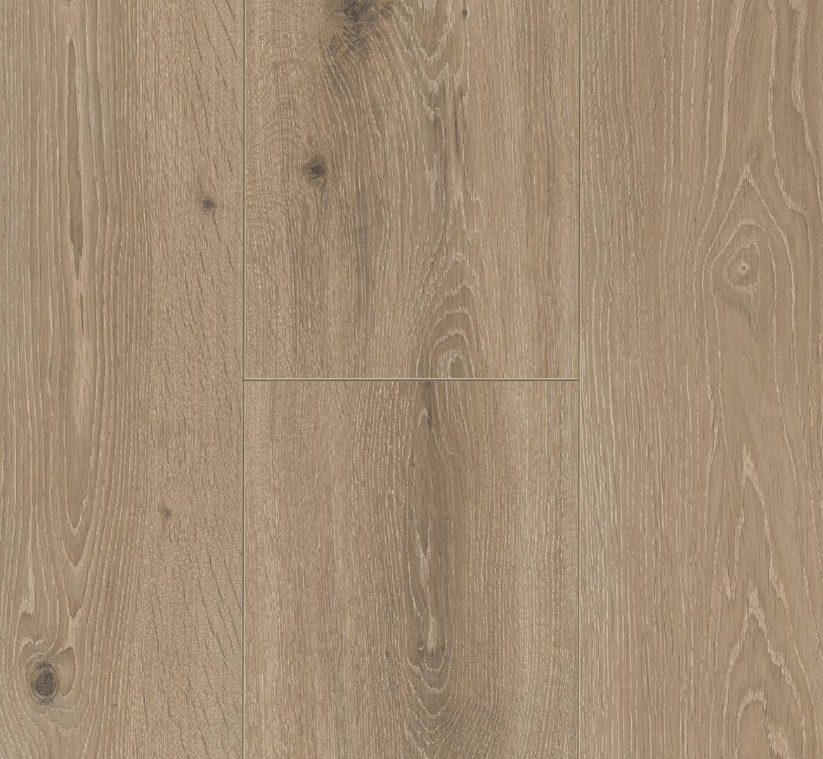 PARADOR Laminat Eiche Castell gekälkt Schlossdiele 4-seitige V-Fuge | Trendtime 6-4014809129646