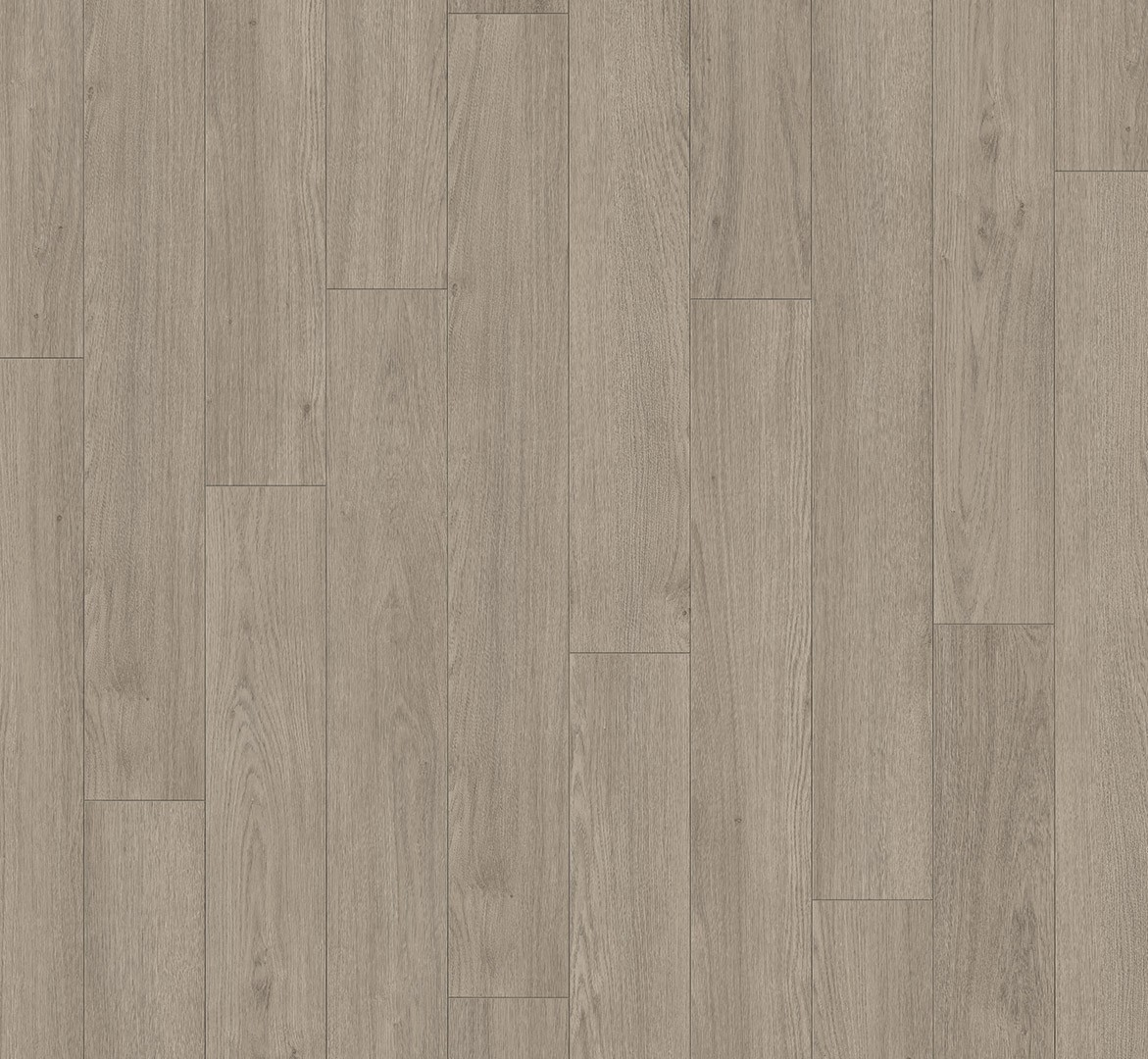 PARADOR Laminat Eiche Mont Blanc grau Matte Holzstruktur 4-seitige V-Fuge | Trendtime 1-4014809267853