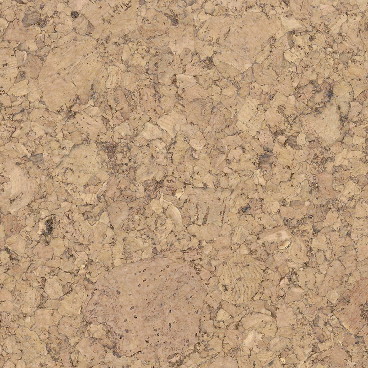 AMORIM Korkboden Aveiro Creme | Corklife Studiostyle-5602190308956