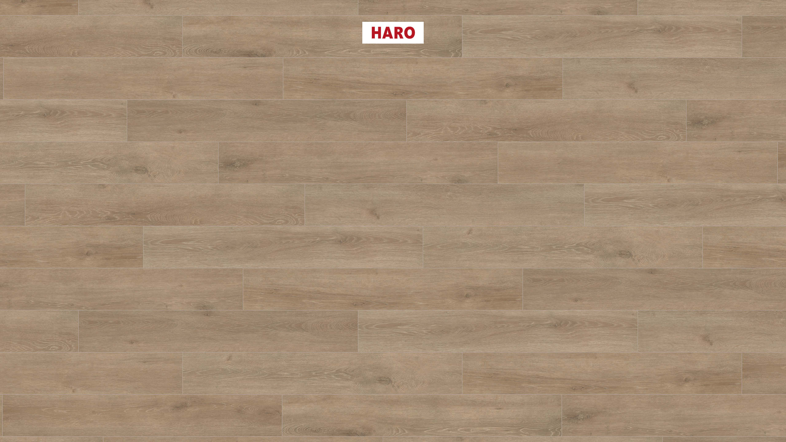 HARO Laminat Eiche Veneto crema authentic matt Landhausdiele 4V | Tritty 200 Aqua | 2.Wahl | 17 m²-4018427476007