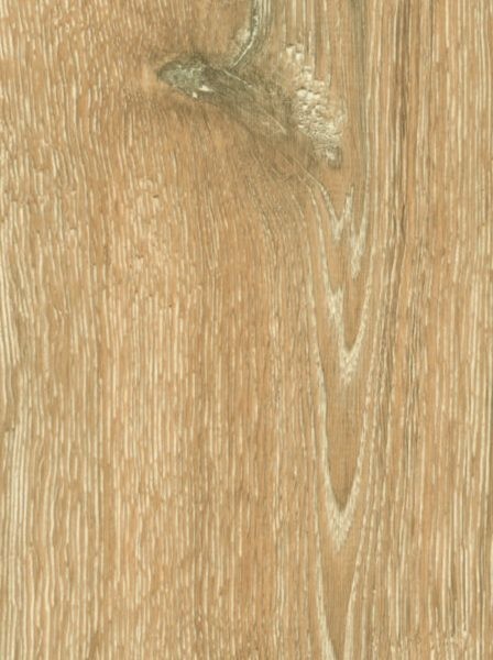 MAGISTRA Laminat Eiche gekälkt Landhausdiele Struktur | Mister 32 Plus-800000397935 guenstig bei bodenverkauf.de kaufen MAGISTRA Laminat Eiche gekälkt Landhausdiele Struktur | Mister 32 Plus-800000397935