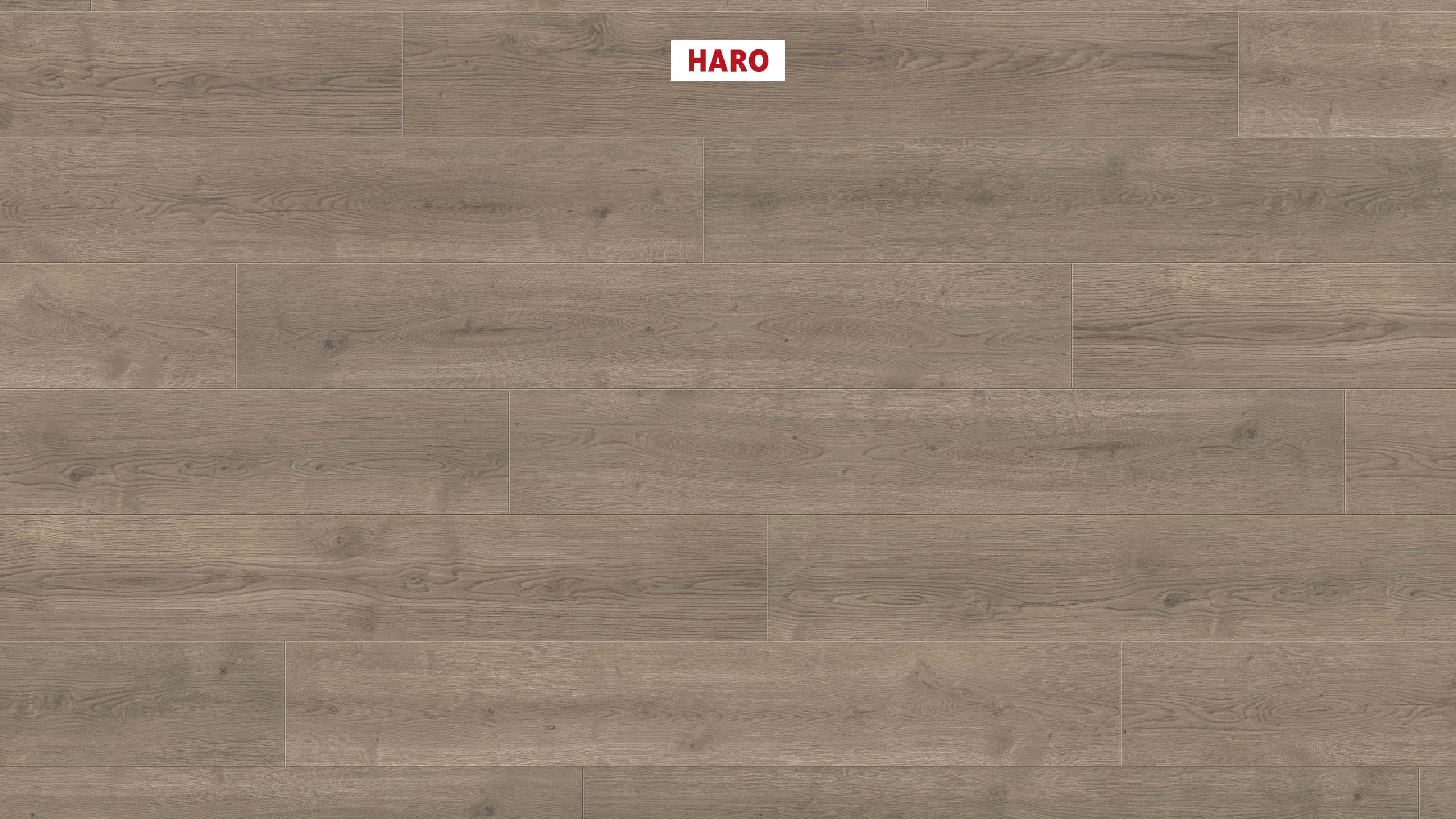 HARO Laminat Eiche Bari grau authentic Landhausdiele 4V | Tritty 90 | 2. Wahl | 29 m²-4018427516246