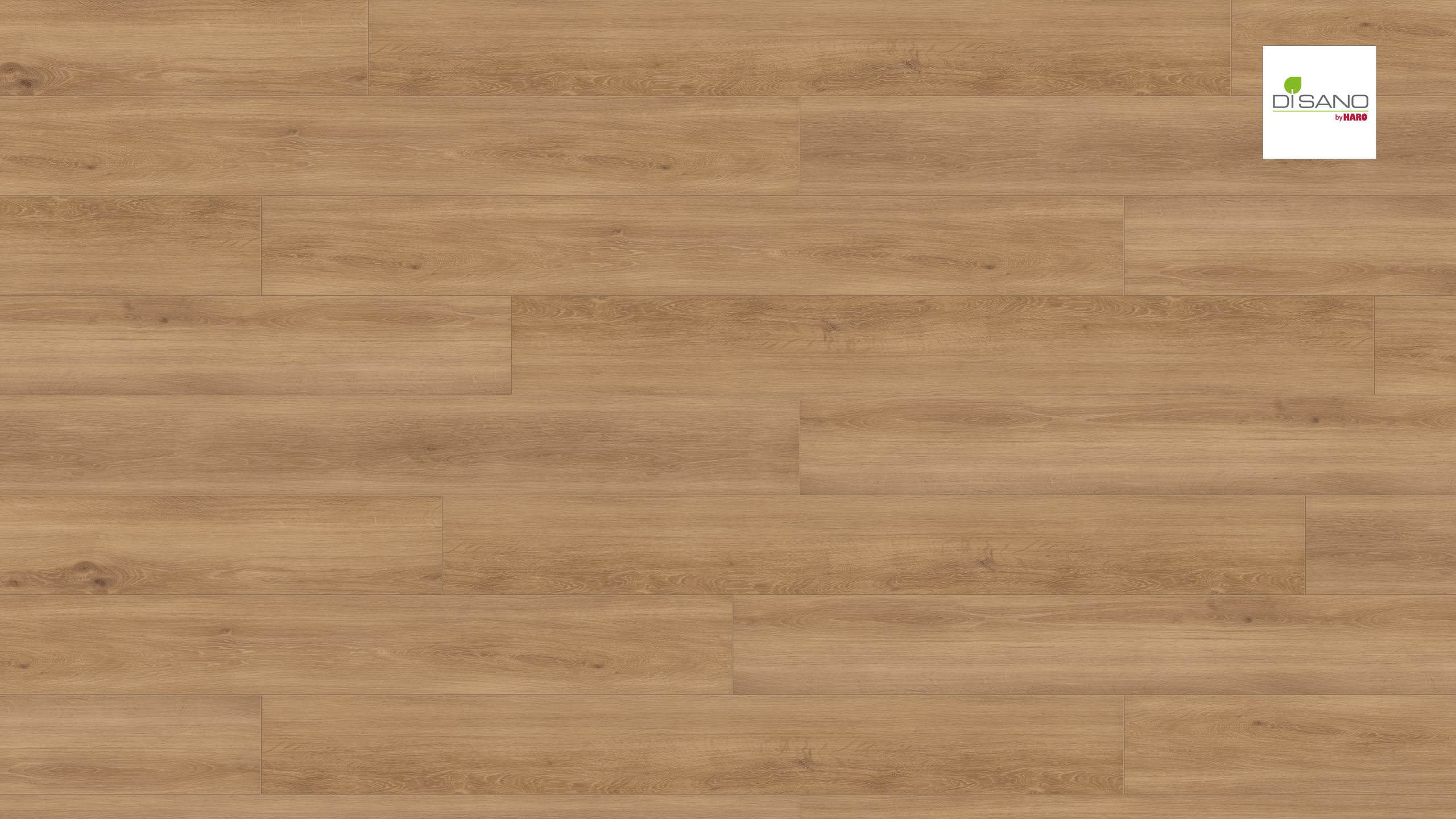 HARO Designboden Feldeiche strukturiert Landhausdiele 4V | DISANO Sonderedition | 2. Wahl-#