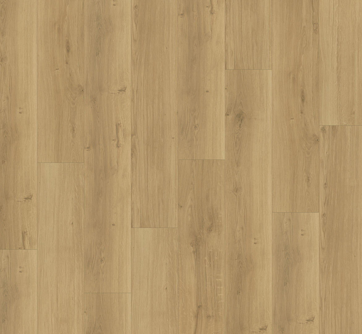 PARADOR Designboden Eiche Castle Landhausdiele Holzstruktur 4-seitige Fase | Basic-4014809254843 guenstig bei bodenverkauf.de kaufen PARADOR Designboden Eiche Castle Landhausdiele Holzstruktur 4-seitige Fase | Basic-4014809254843