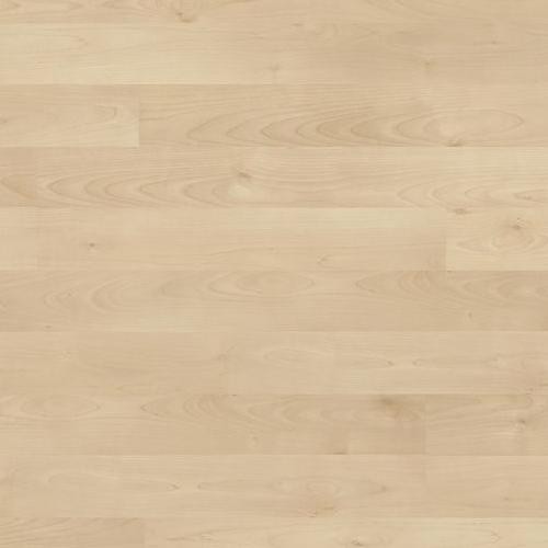 HARO Laminat Ahorn crema matt 2-Stab | Living | 2.Wahl | 14 m²-4018427341350
