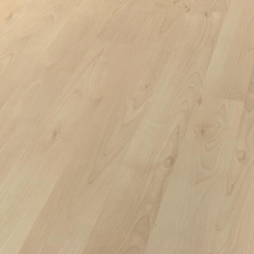 HARO Laminat Ahorn crema matt 2-Stab | Living | 2.Wahl | 14 m²-4018427341350