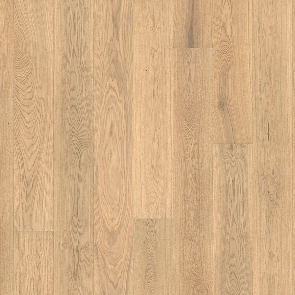 PARADOR Parkett Eiche Pure Landhausdiele gebürstet lackversiegelt matt 4-seitige Fase | Classic 3025-4014809264897 guenstig bei bodenverkauf.de kaufen PARADOR Parkett Eiche Pure Landhausdiele gebürstet lackversiegelt matt 4-seitige Fase | Classic 3025-4014809264897