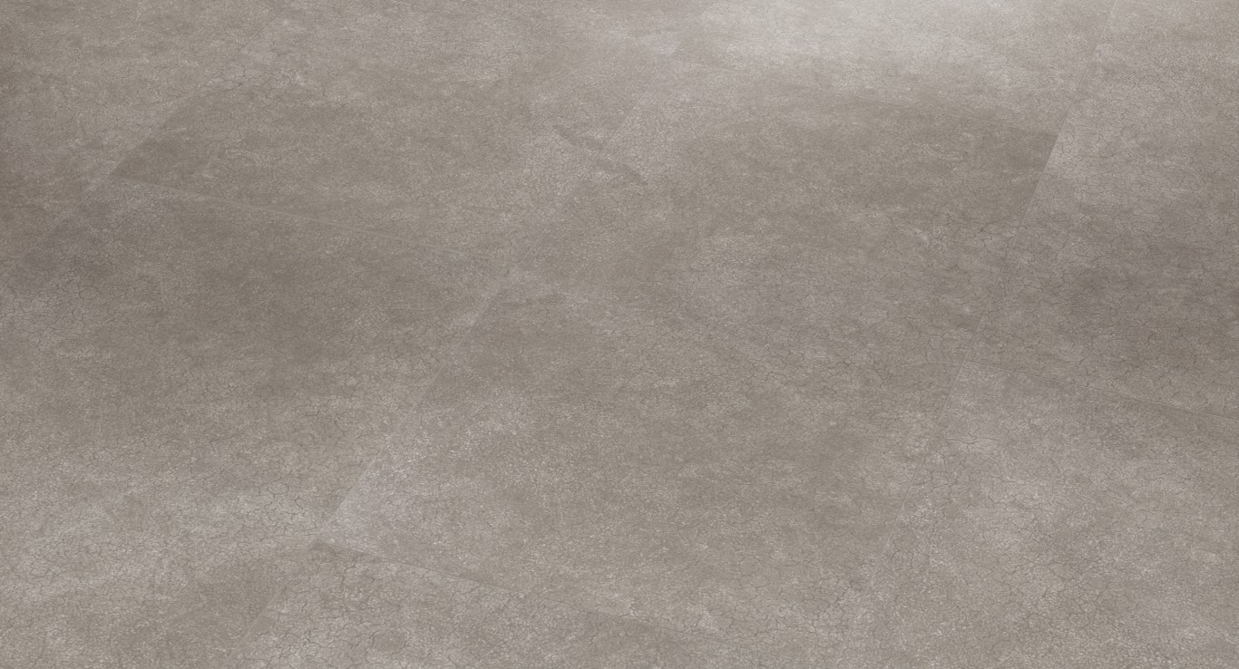 PARADOR Vinyl Desert grau Steinstruktur | Trendtime 5.50 | 24 m²-4014809160519