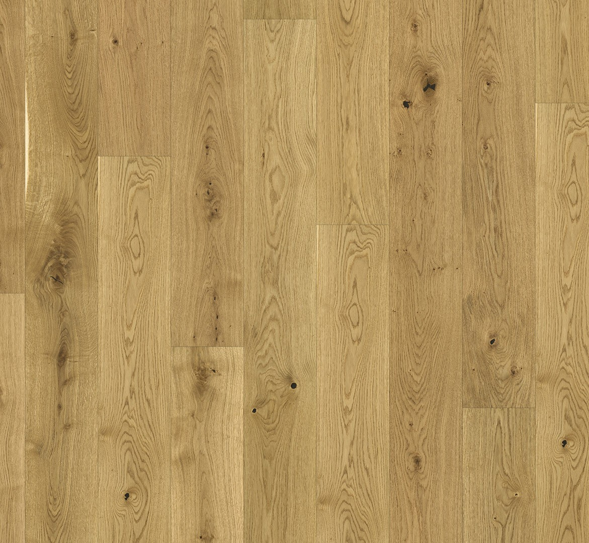 PARADOR Parkett Eiche lebhaft Landhausdiele naturgeölt 4-seitige Minifase | Sonderedition-4014809162520 PARADOR Parkett Eiche lebhaft Landhausdiele naturgeölt 4-seitige Minifase | Sonderedition-4014809162520