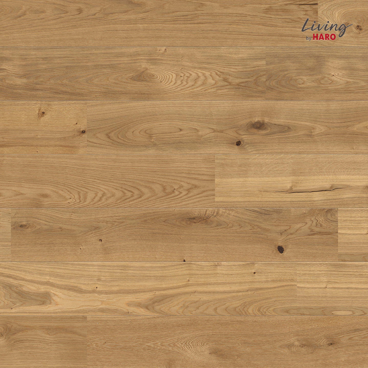 HARO Parkett Eiche strukturiert Landhausdiele 2V naturgeölt | Living 3000 | 13 m²-4018427489380