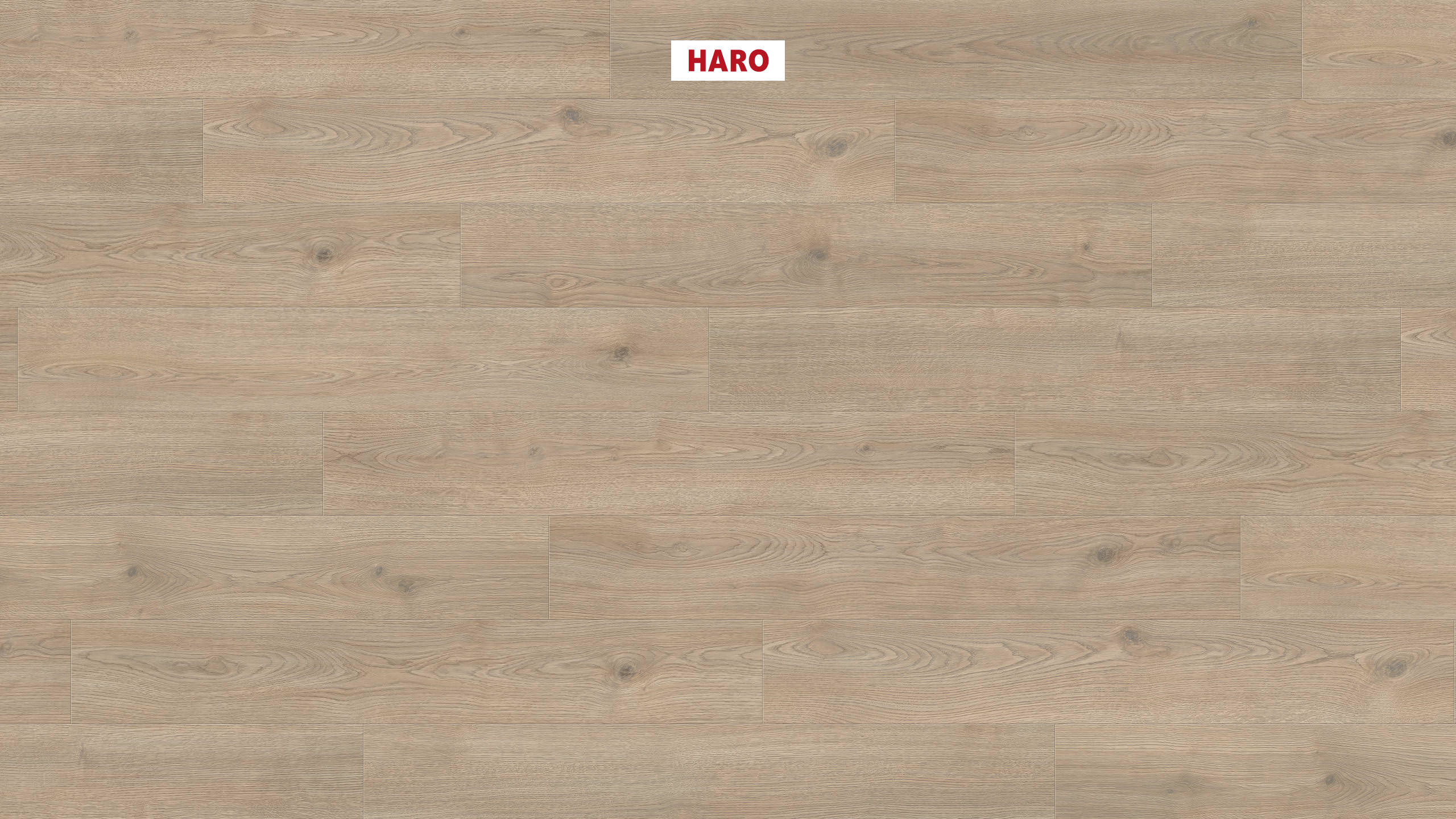 HARO Laminat Eiche Contura steingrau Landhausdiele 4V | Tritty 200 Aqua Gran Via | 2.Wahl | 13,5 m²-4018427458317