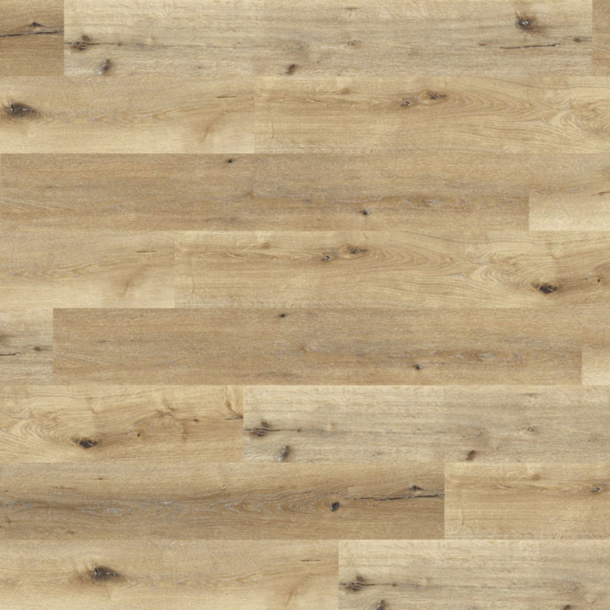 TER HÜRNE Vinylboden Eiche V521 Landhausdiele | base.59 | 9 m²-4012853143410