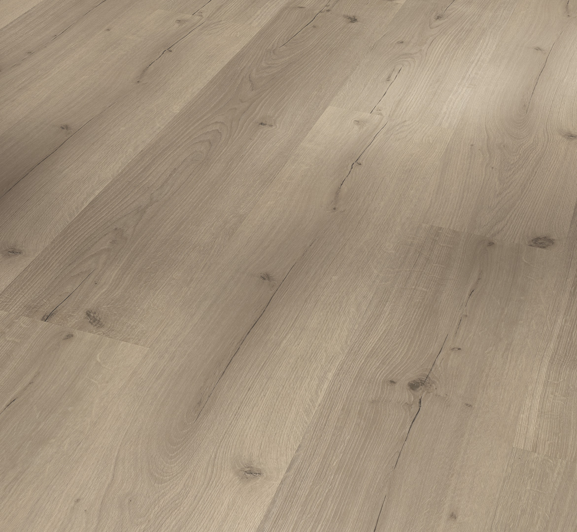PARADOR Klebe-Vinylboden Eiche Infinity grau Landhausdiele Lebhafte Struktur | Basic 2.0 | 22,5 m²-4014809192442 guenstig bei bodenverkauf.de kaufen PARADOR Klebe-Vinylboden Eiche Infinity grau Landhausdiele Lebhafte Struktur | Basic 2.0 | 22,5 m²-4014809192442