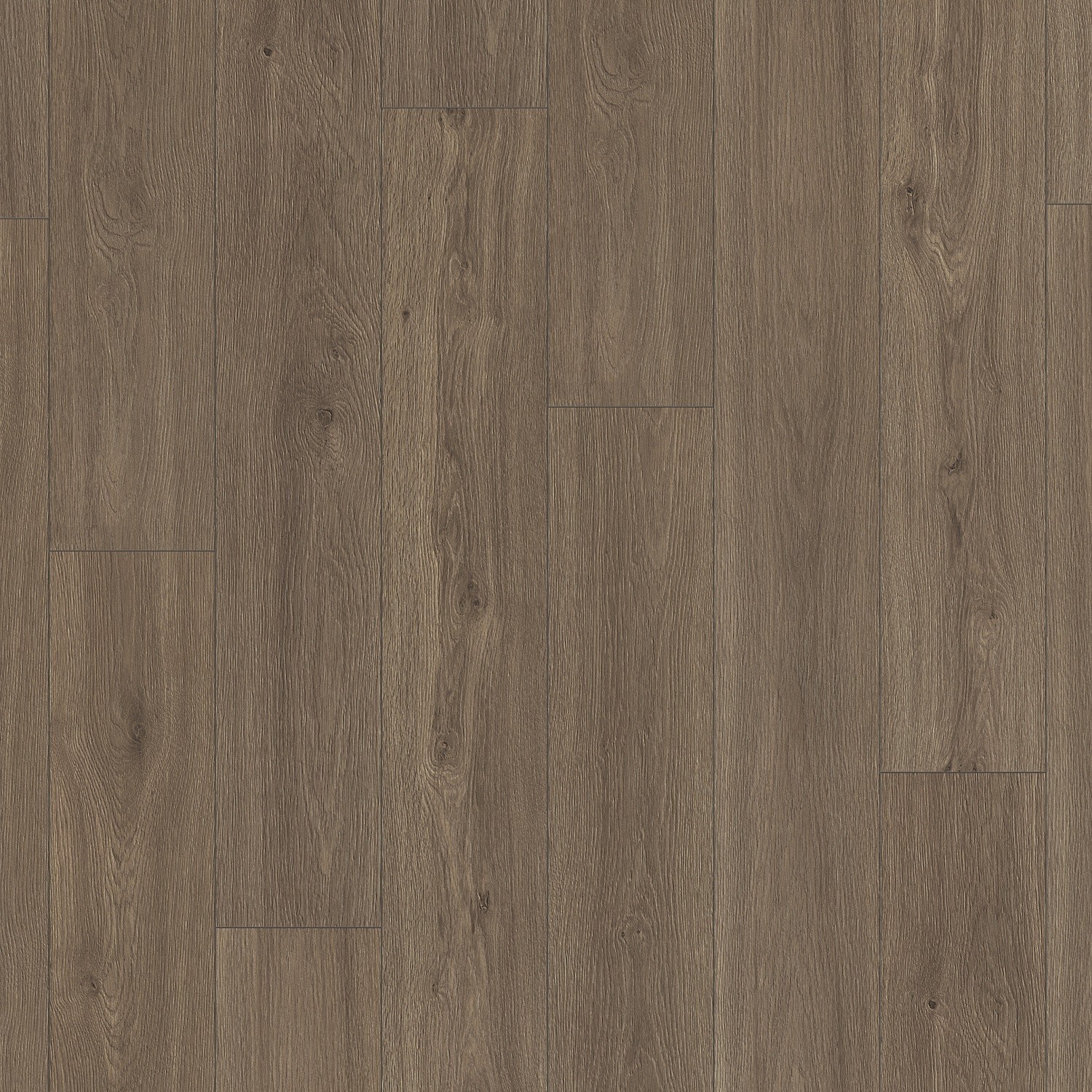 TER HÜRNE Laminat Eiche schiefergrau synchron tief geport Landhausdiele | Avatara MultiSense | 38 m²-4012853095641