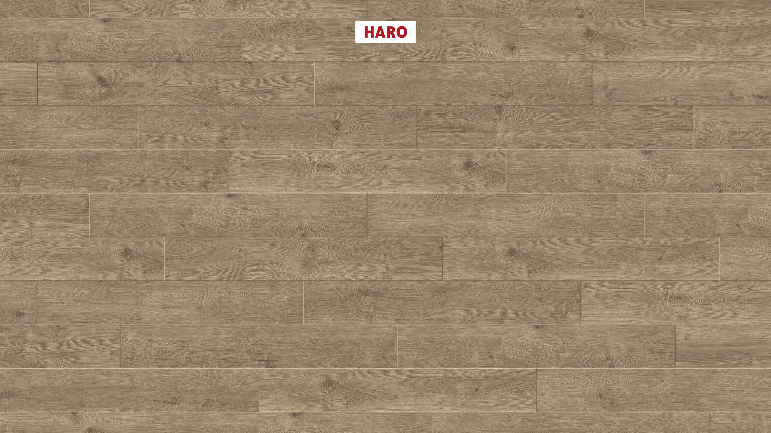 HARO Korkboden Arteo XL 4V Eiche Portland dunkelgrau permaDur | Corkett-4018427427283
