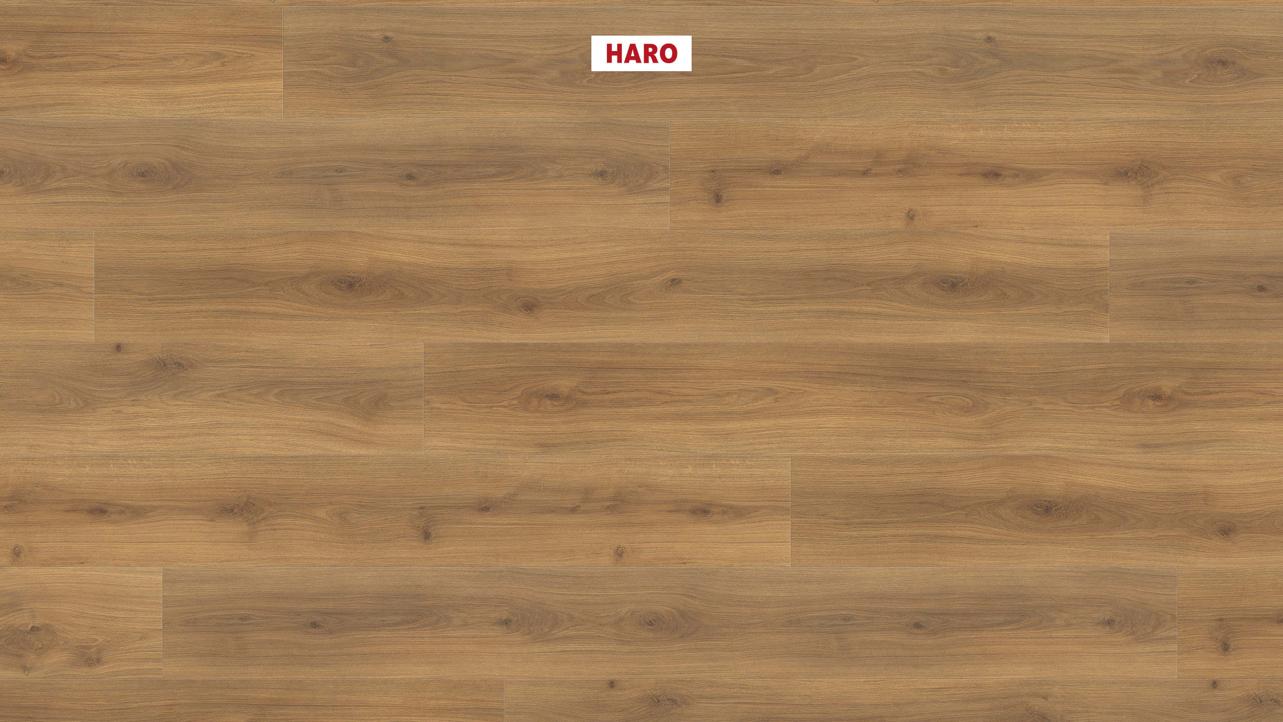 HARO Laminat Eiche Emilia Honig Landhausdiele 4V | Tritty 200 Aqua Gran Via | 2.Wahl | 20 m²-4018427458348