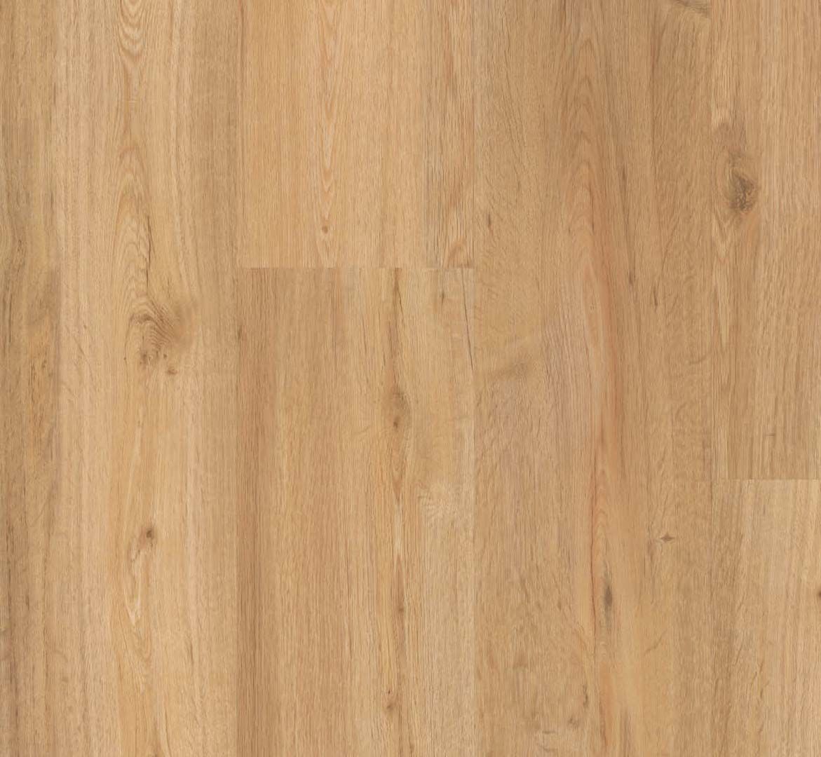 PARADOR Vinylboden Eiche natur Landhausdiele Gebürstete Struktur | Basic 20-4014809190868