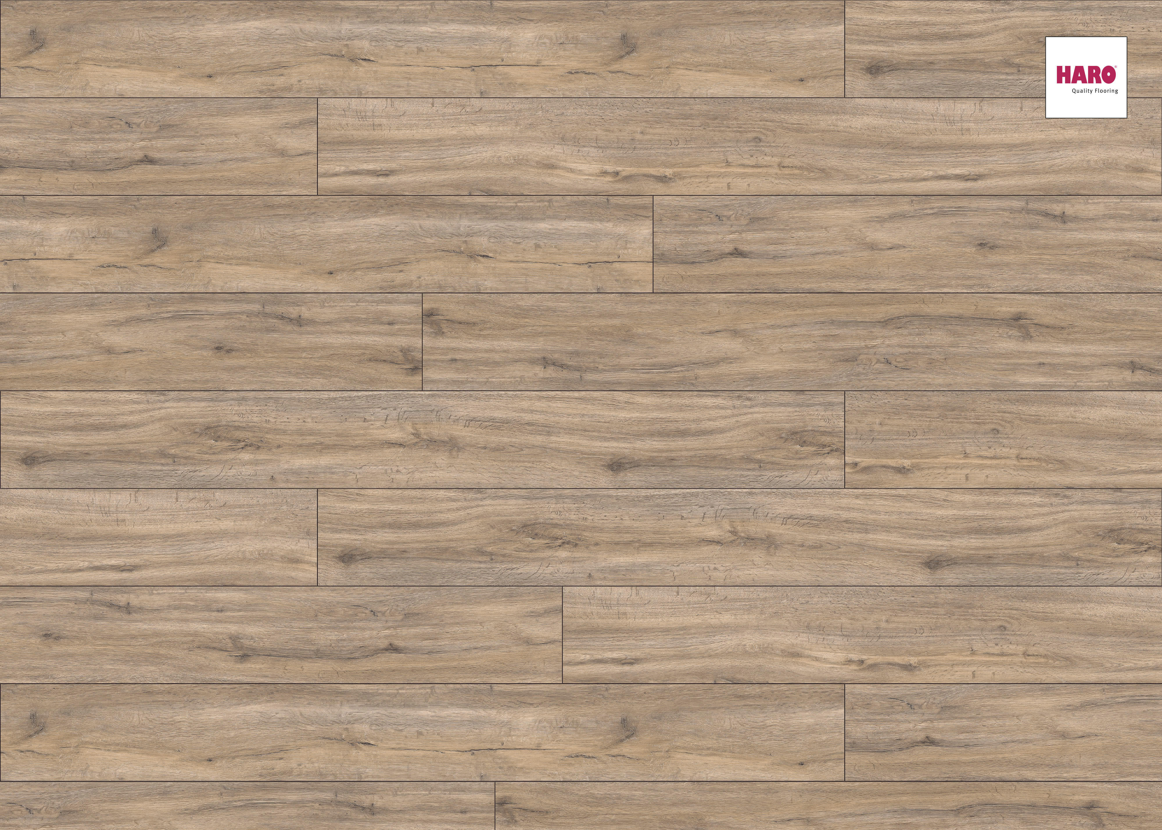 HARO Designboden Steineiche creme Landhausdiele XL | DISANO Classic Aqua | 2. Wahl | 11,5 m²-4018427404864