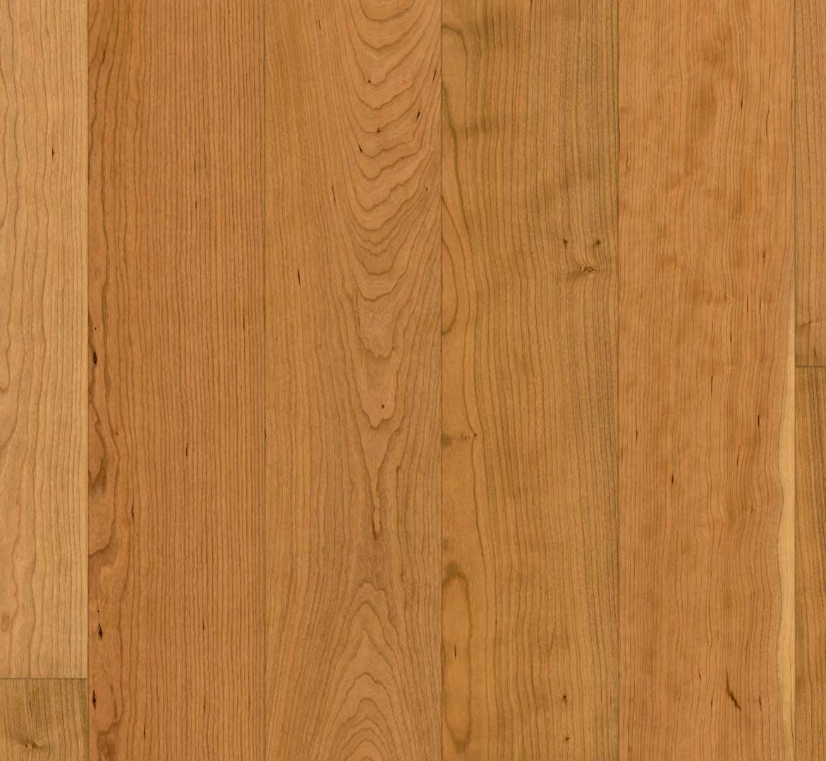 PARADOR Parkett Kirsche Landhausdiele 4-seitige Minifase lackversiegelt matt | Sonderedition-# guenstig bei bodenverkauf.de kaufen PARADOR Parkett Kirsche Landhausdiele 4-seitige Minifase lackversiegelt matt | Sonderedition-#