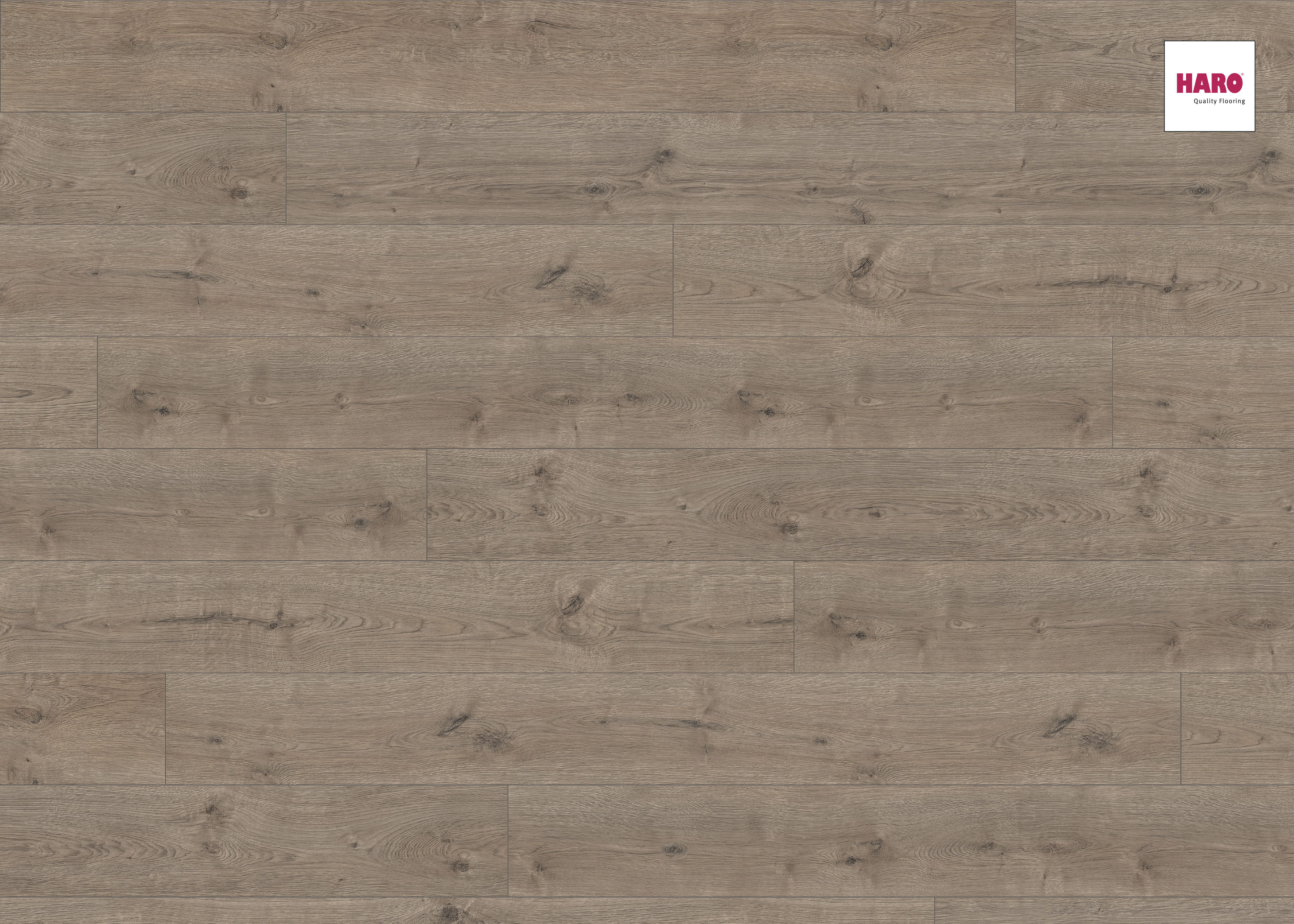 HARO Laminat Eiche Portland grau authentic Landhausdiele 4V | Tritty 100 Gran Via | 2.Wahl | 39 m²-4018427376598