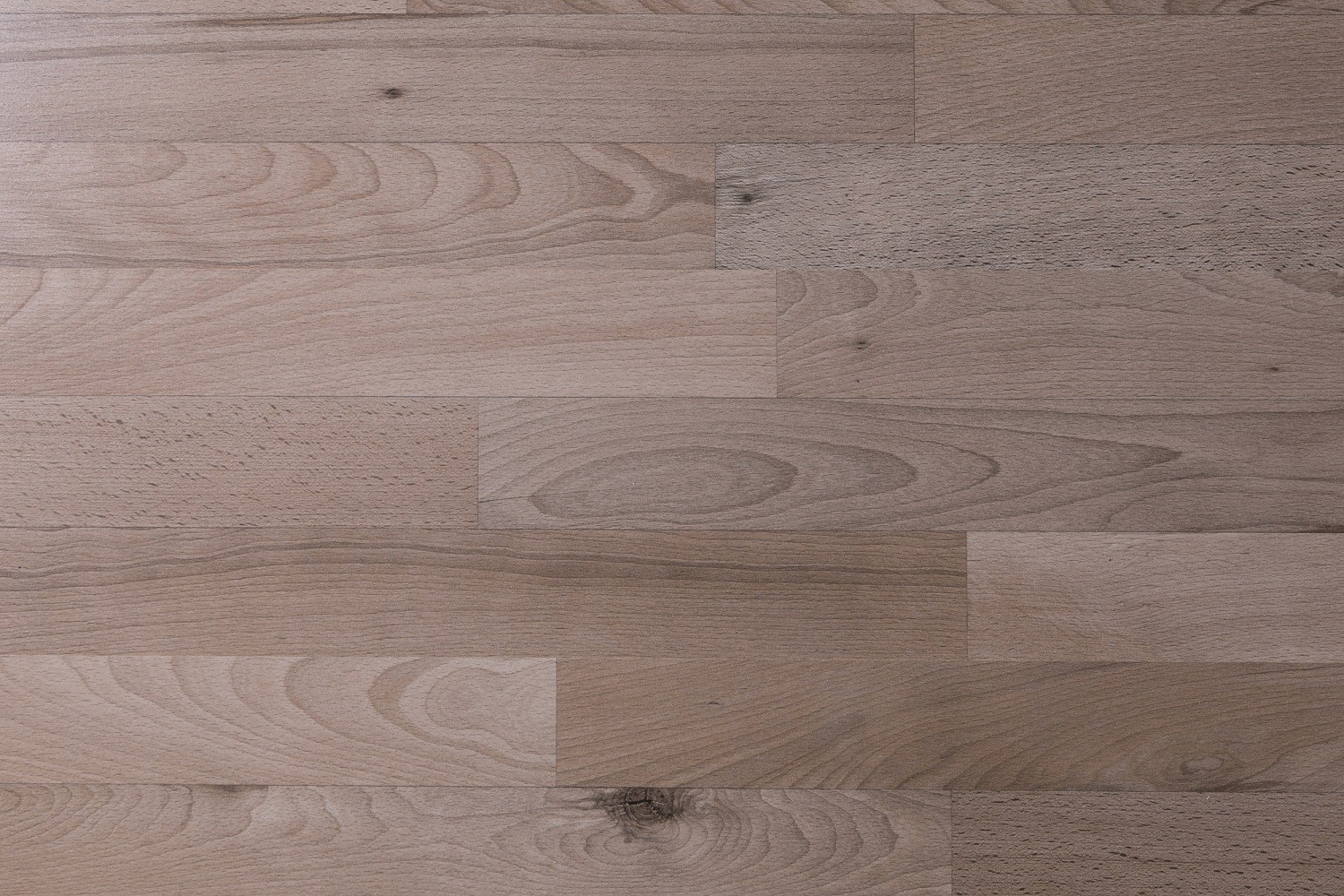 PARADOR Laminat Buche Toskana Schiffsboden 3-Stab Holzstruktur | Basic 8/32-4014809184256