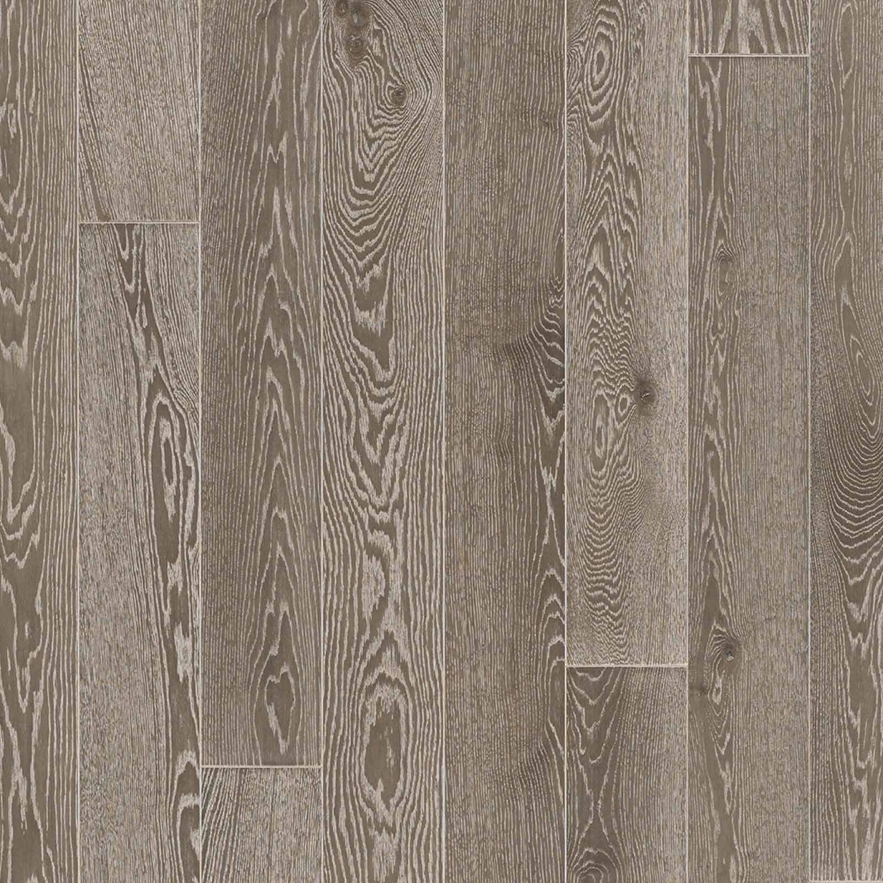 PARADOR Parkett Eiche grau gekälkt Landhausdiele 4-seitige Fase | Trendtime 4 | 26 m²-4014809153337 guenstig bei bodenverkauf.de kaufen PARADOR Parkett Eiche grau gekälkt Landhausdiele 4-seitige Fase | Trendtime 4 | 26 m²-4014809153337