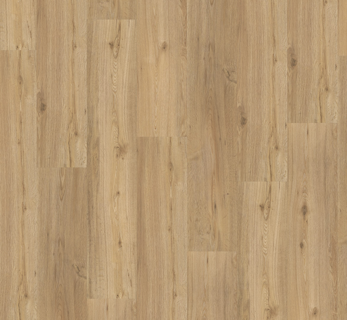 PARADOR Vinylboden Eiche natur Landhausdiele Holzstruktur | Click In-4014809166290 PARADOR Vinylboden Eiche natur Landhausdiele Holzstruktur | Click In-4014809166290