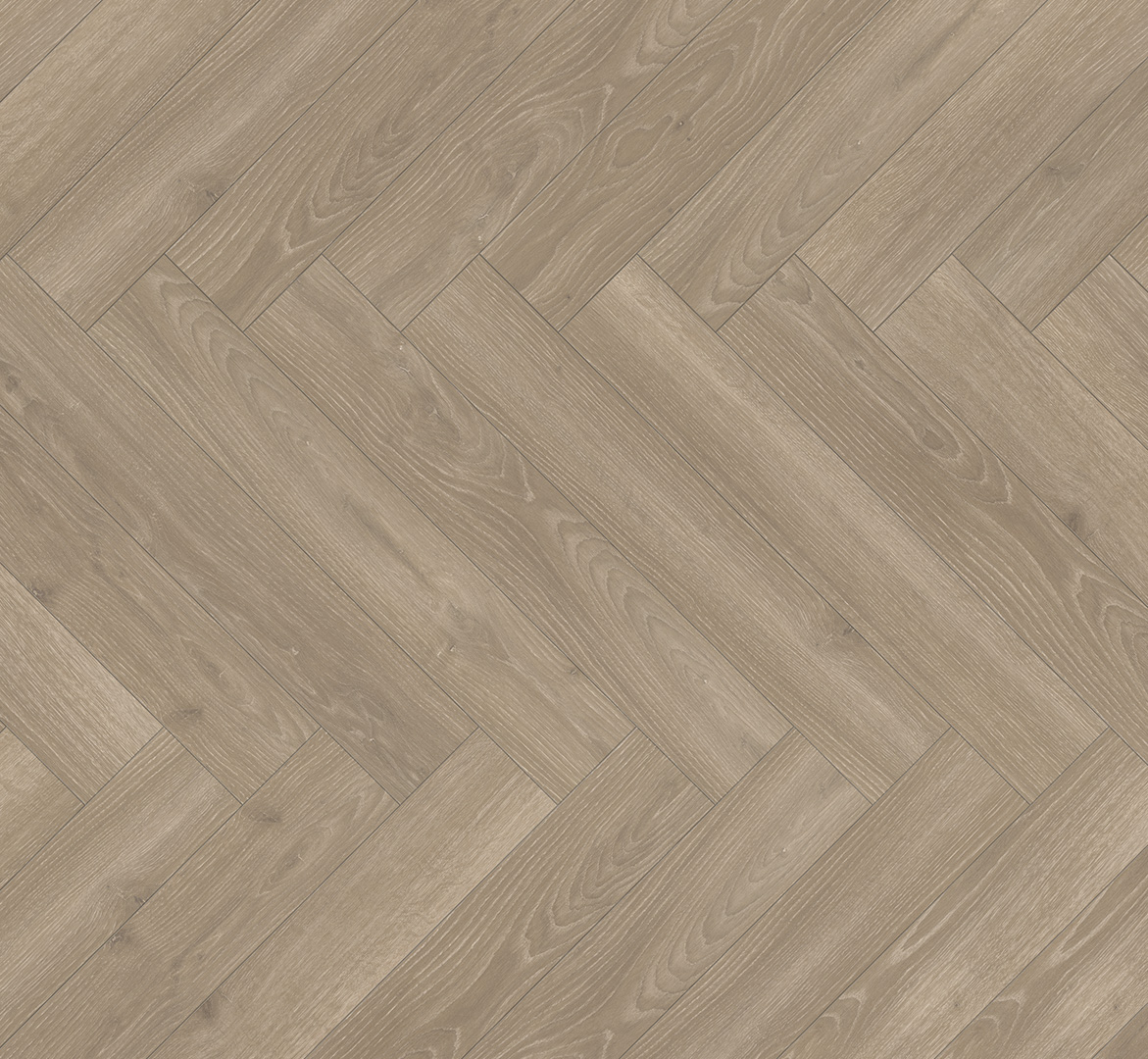 PARADOR Laminat Eiche Skyline perlgrau Naturmattstruktur 4-seitige V-Fuge | Trendtime 3 | 2. Wahl-4014809263258