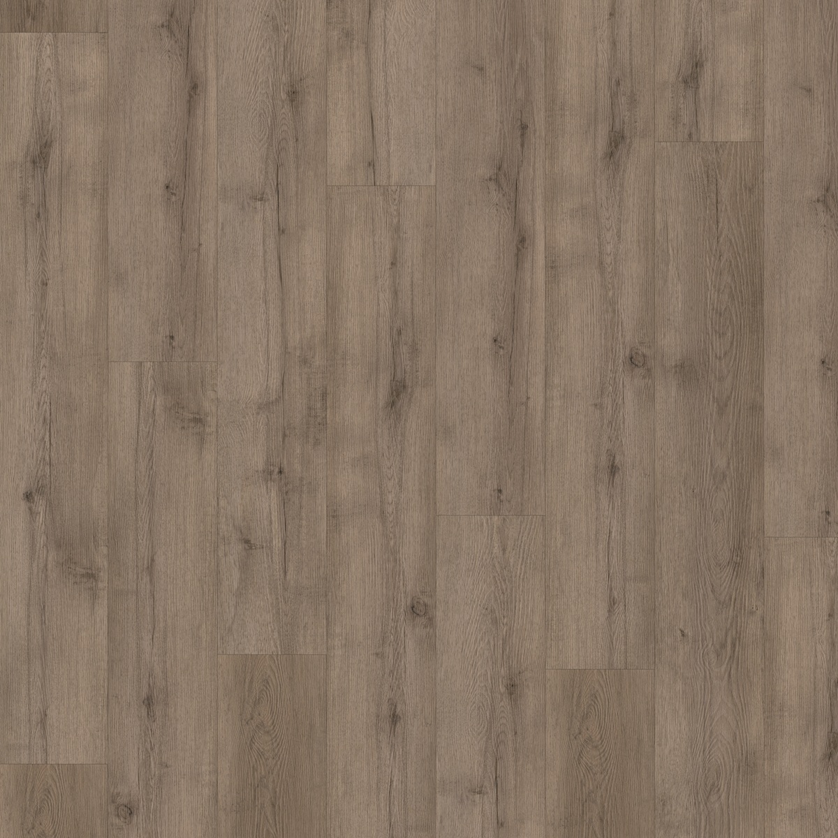 CHECK Vinylboden 2464 Terpe Eiche Landhausdiele | Standard Collection-4250055112951