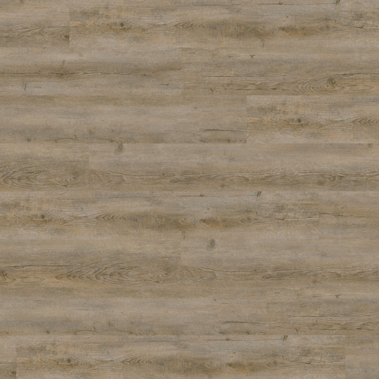 TER HÜRNE Vinylboden Pinie V522 Landhausdiele | base.59 | 34 m²-4012853143427 guenstig bei bodenverkauf.de kaufen TER HÜRNE Vinylboden Pinie V522 Landhausdiele | base.59 | 34 m²-4012853143427