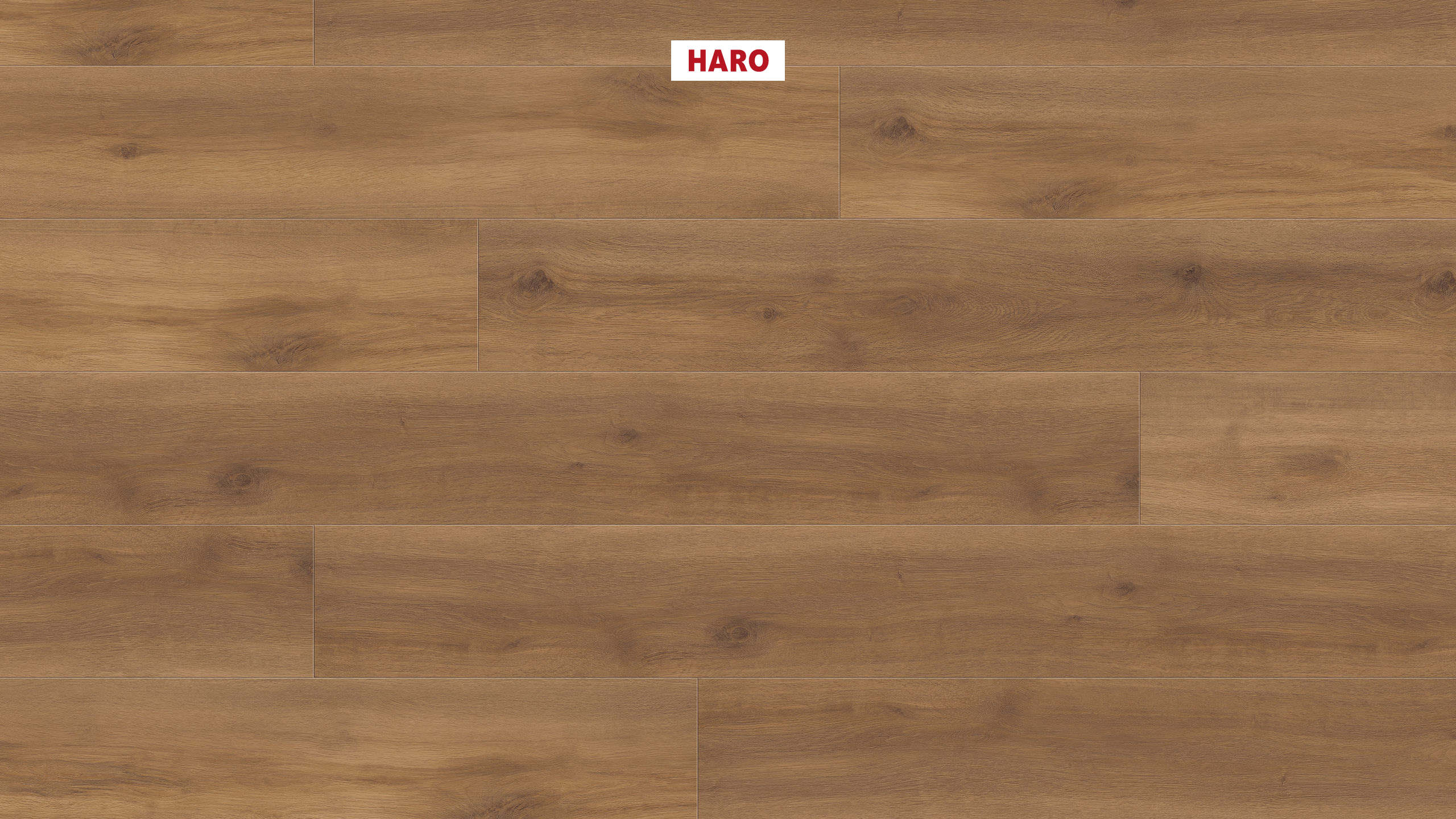 HARO Designboden Eiche Provence natur Landhausdiele XL | DISANO ClassicAqua | 2. Wahl | 11,5 m²-4018427506841