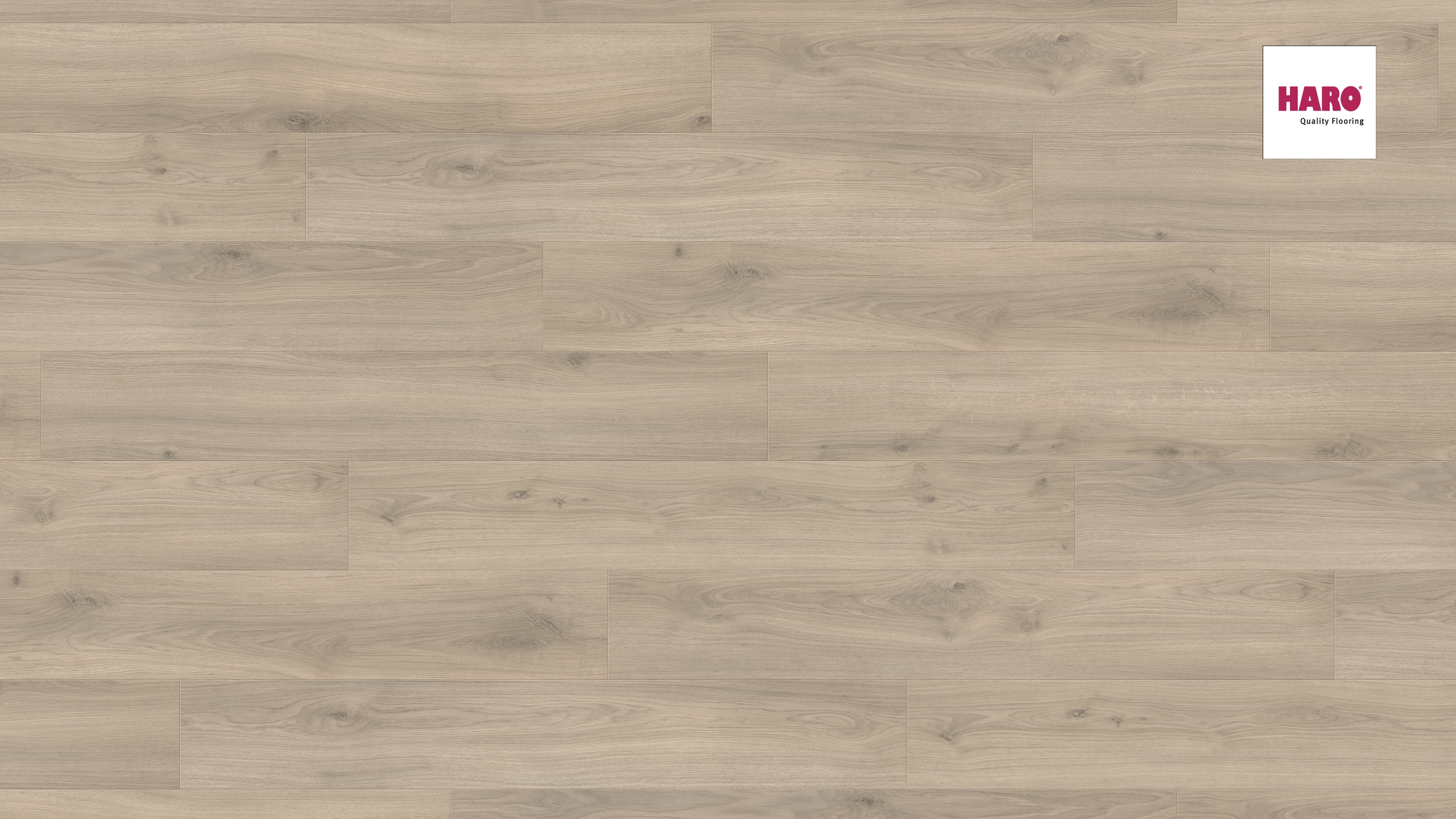 HARO Laminat Eiche Emilia samtgrau Landhausdiele 4V | Tritty 100 Gran Via | 2.Wahl-4018427445836