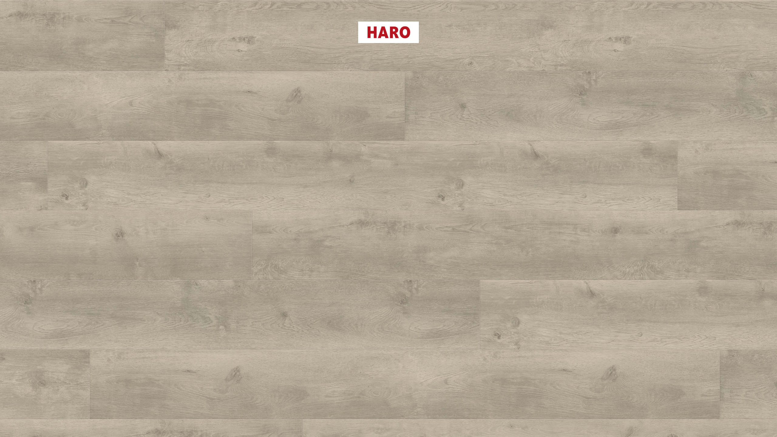 HARO Laminat Eiche Bergamo silbergrau Landhausdiele 4V | Tritty 200 Aqua | 2.Wahl | 21,5 m²-4018427475932 HARO Laminat Eiche Bergamo silbergrau Landhausdiele 4V | Tritty 200 Aqua | 2.Wahl | 21,5 m²-4018427475932