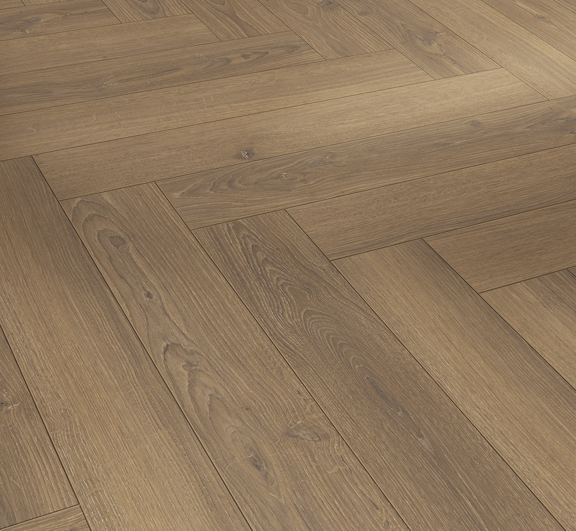 PARADOR Laminat Eiche Studioline honig Naturmattstruktur 4-seitige V-Fuge | Trendtime 3-4014809263319
