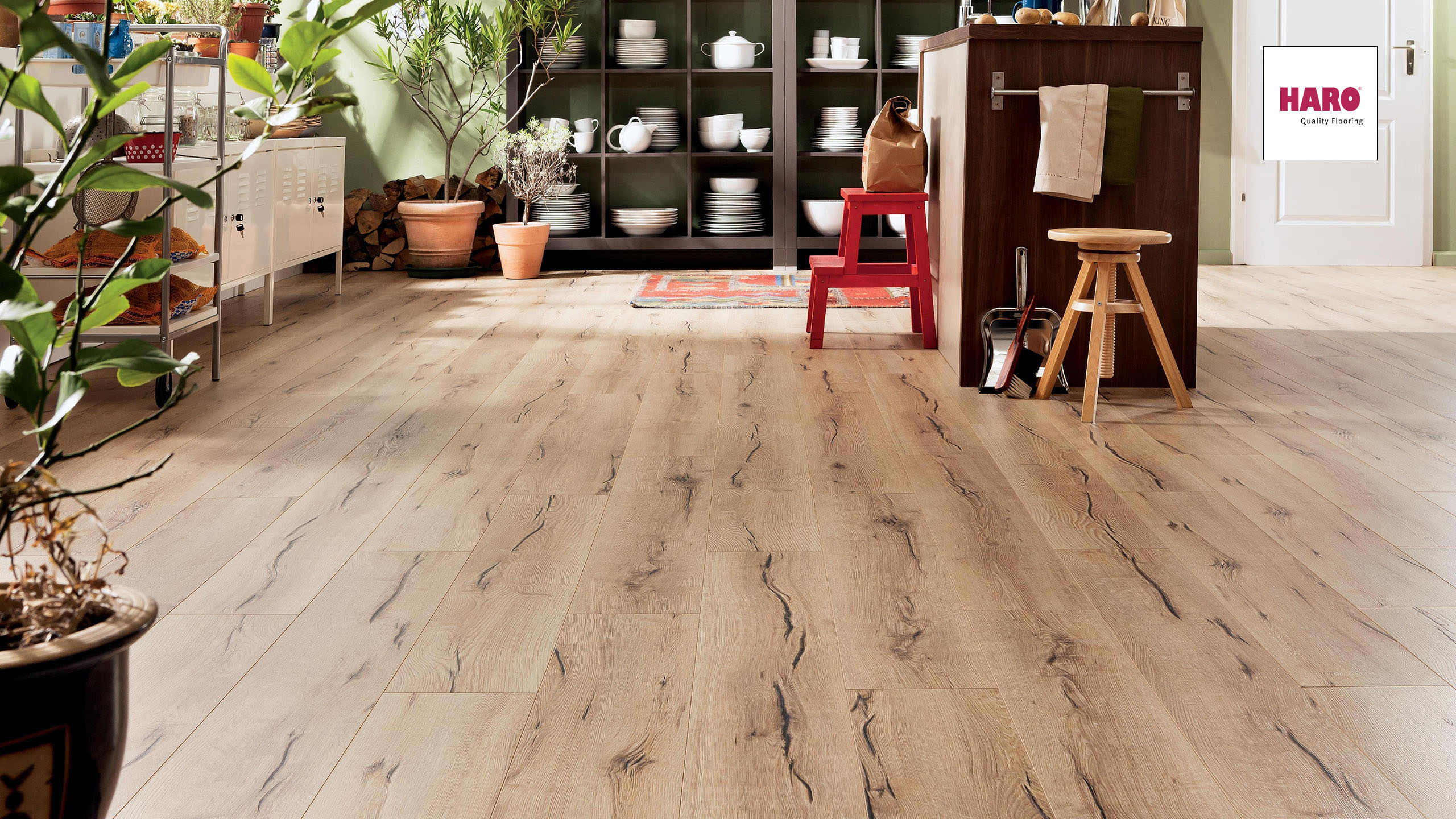 HARO Laminat Eiche italica creme Landhausdiele 4V | Tritty 75 | 2.Wahl | 23,5 m²-4018427349752