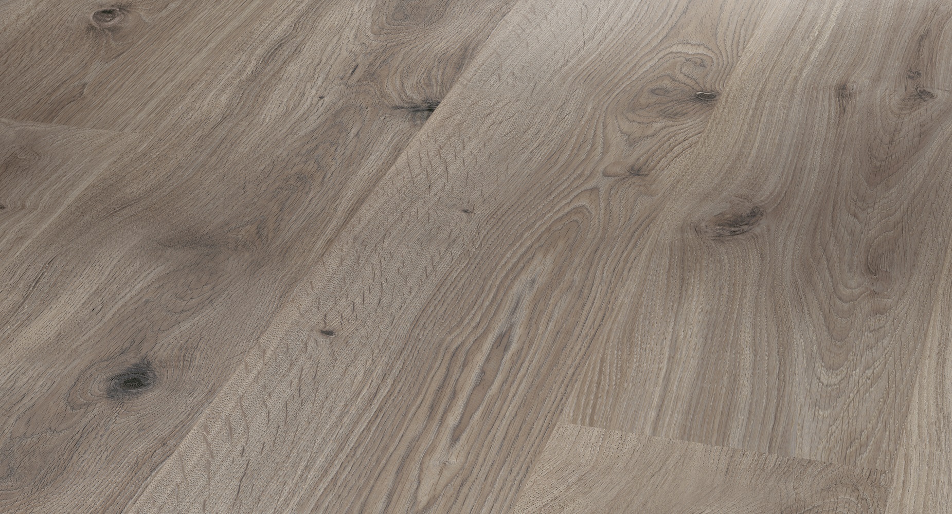 PARADOR Laminat Eiche basaltgrau Landhausdiele Seidenmatte Struktur | Eco Balance-4014809191025