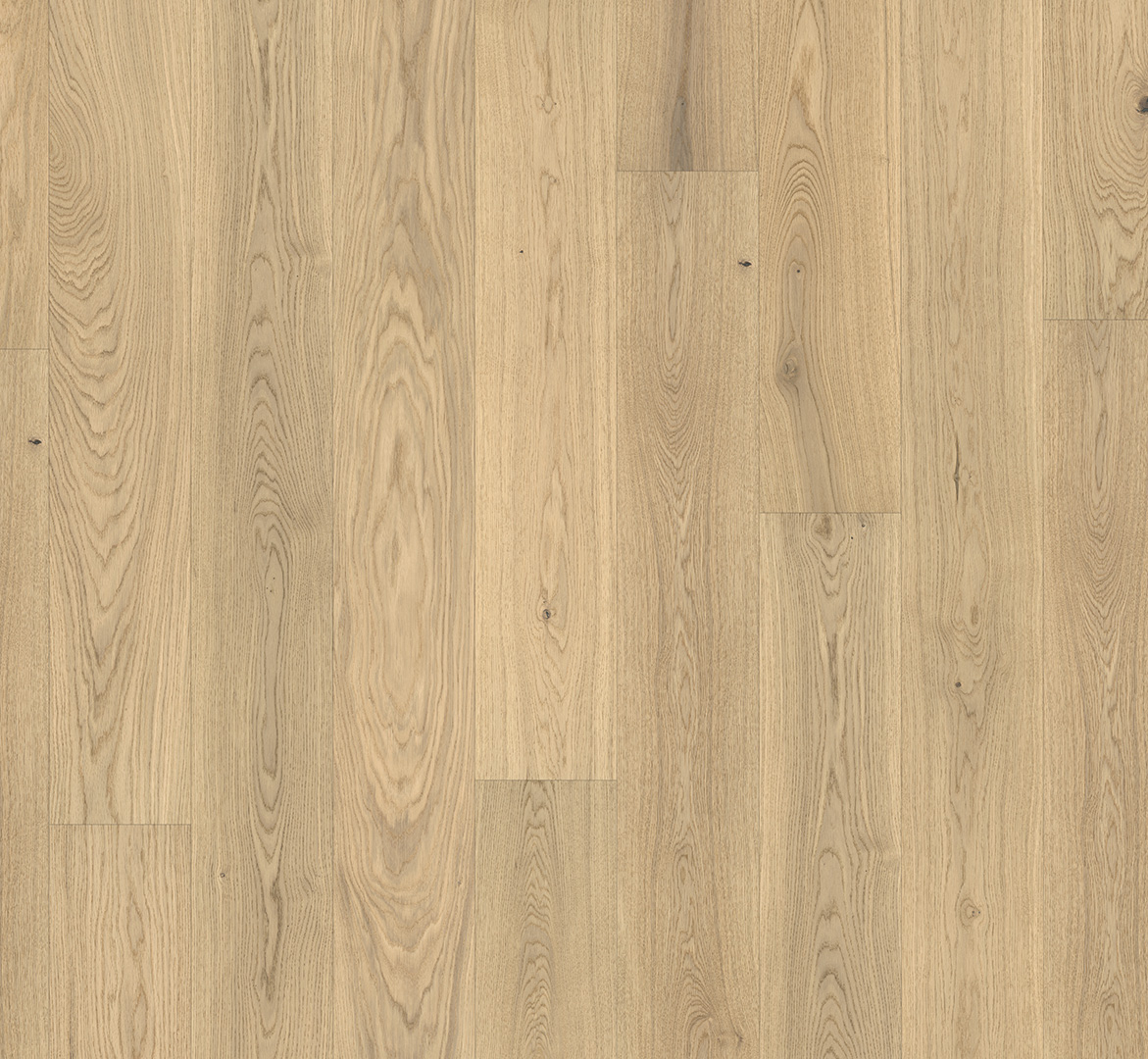 PARADOR Parkett Eiche Pure Landhausdiele lackversiegelt matt 4-seitige Minifase | Eco Balance-4014809232179