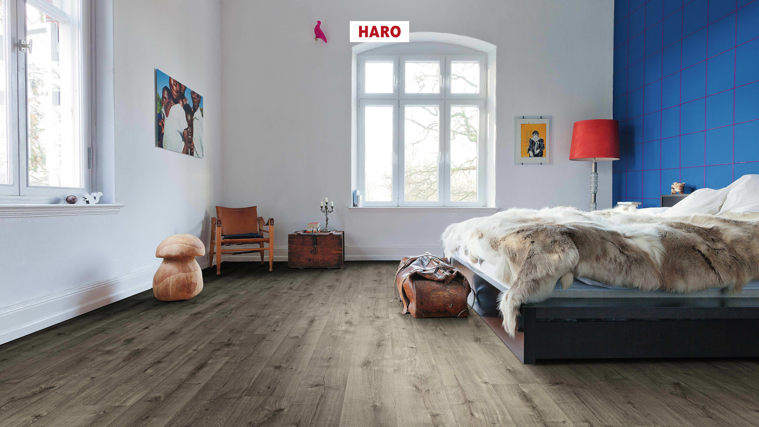 HARO Laminat Eiche Calla grau strukturiert Landhausdiele | Daily Edition | 2. Wahl | 9 m²-4018427472665 guenstig bei bodenverkauf.de kaufen HARO Laminat Eiche Calla grau strukturiert Landhausdiele | Daily Edition | 2. Wahl | 9 m²-4018427472665