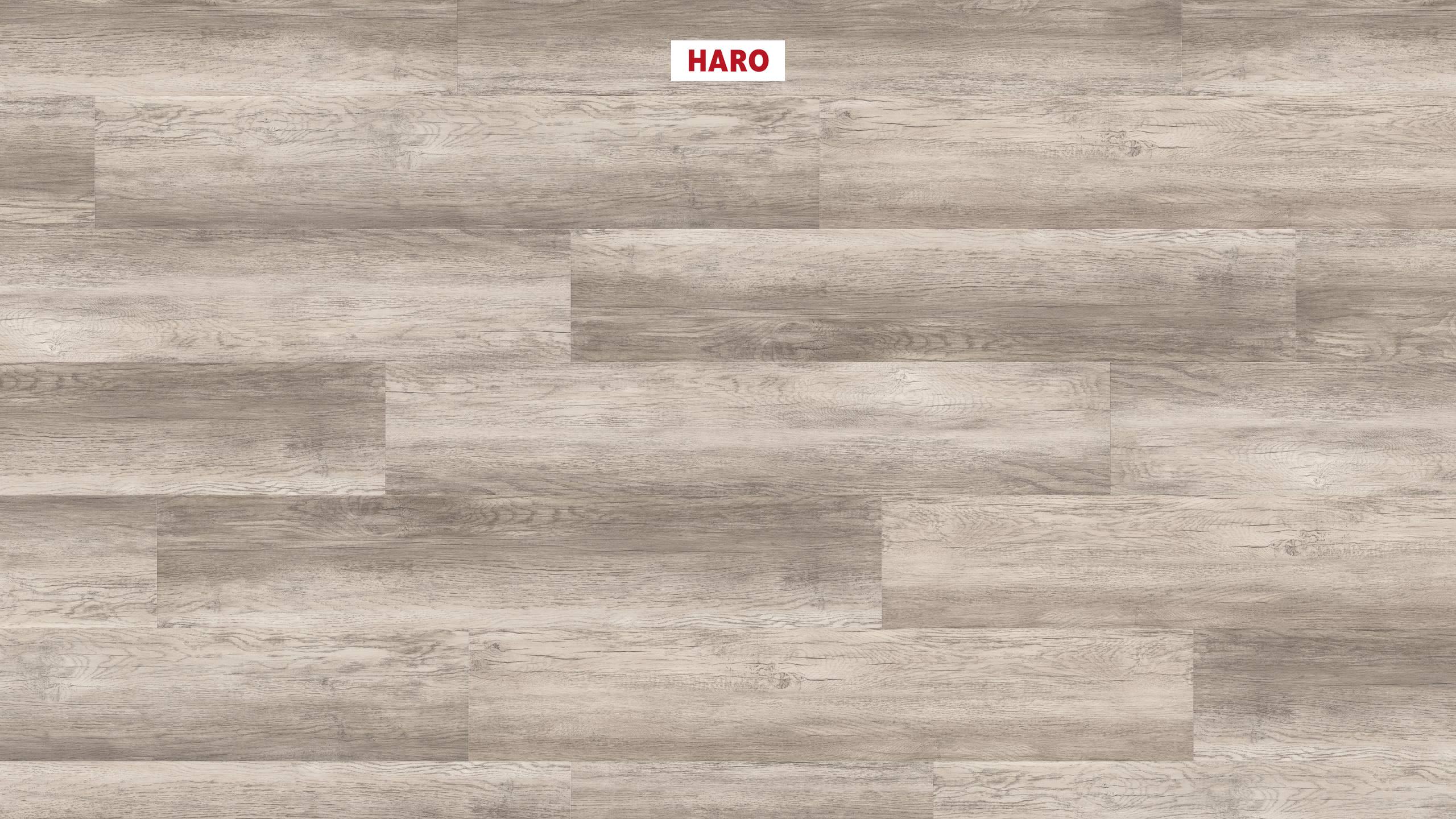 HARO Klebe-Designboden Country Eiche grau rustikal strukturiert Landhausdiele 4VM | DISANO Project-4018427425036