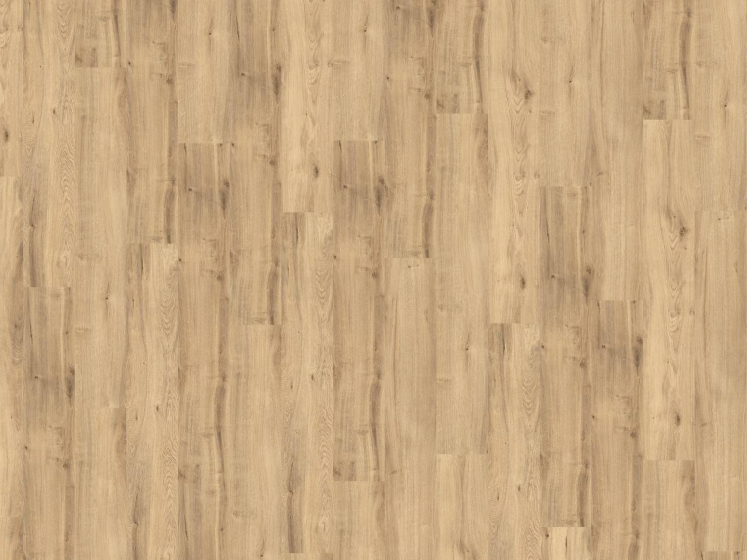 AMORIM Designboden Country Oak | Dekolife Nature-5602190116537