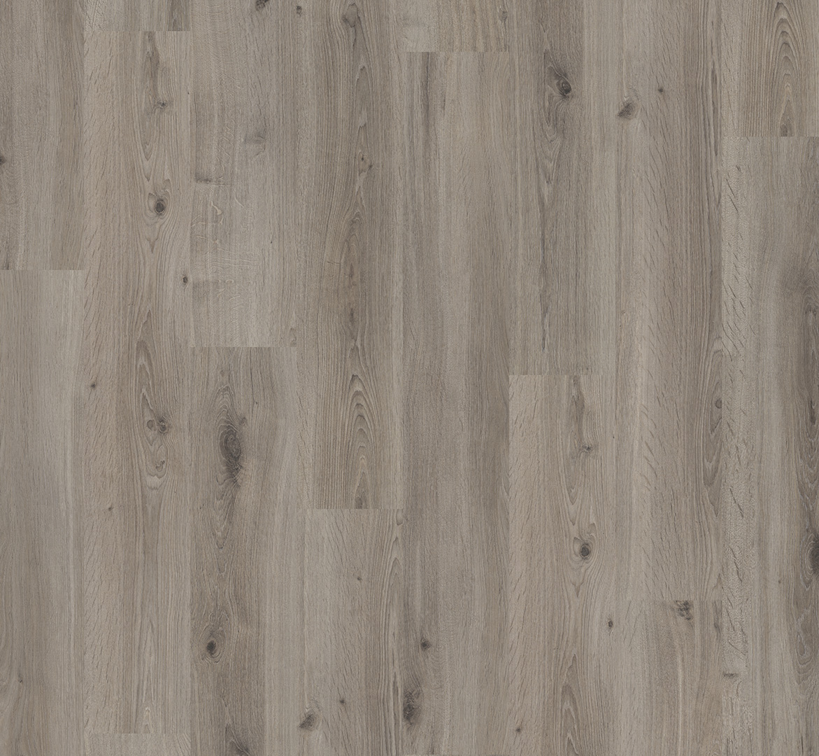 PARADOR Laminat Eiche basaltgrau Landhausdiele Seidenmatte Struktur | Basic 400-4014809233435 guenstig bei bodenverkauf.de kaufen PARADOR Laminat Eiche basaltgrau Landhausdiele Seidenmatte Struktur | Basic 400-4014809233435