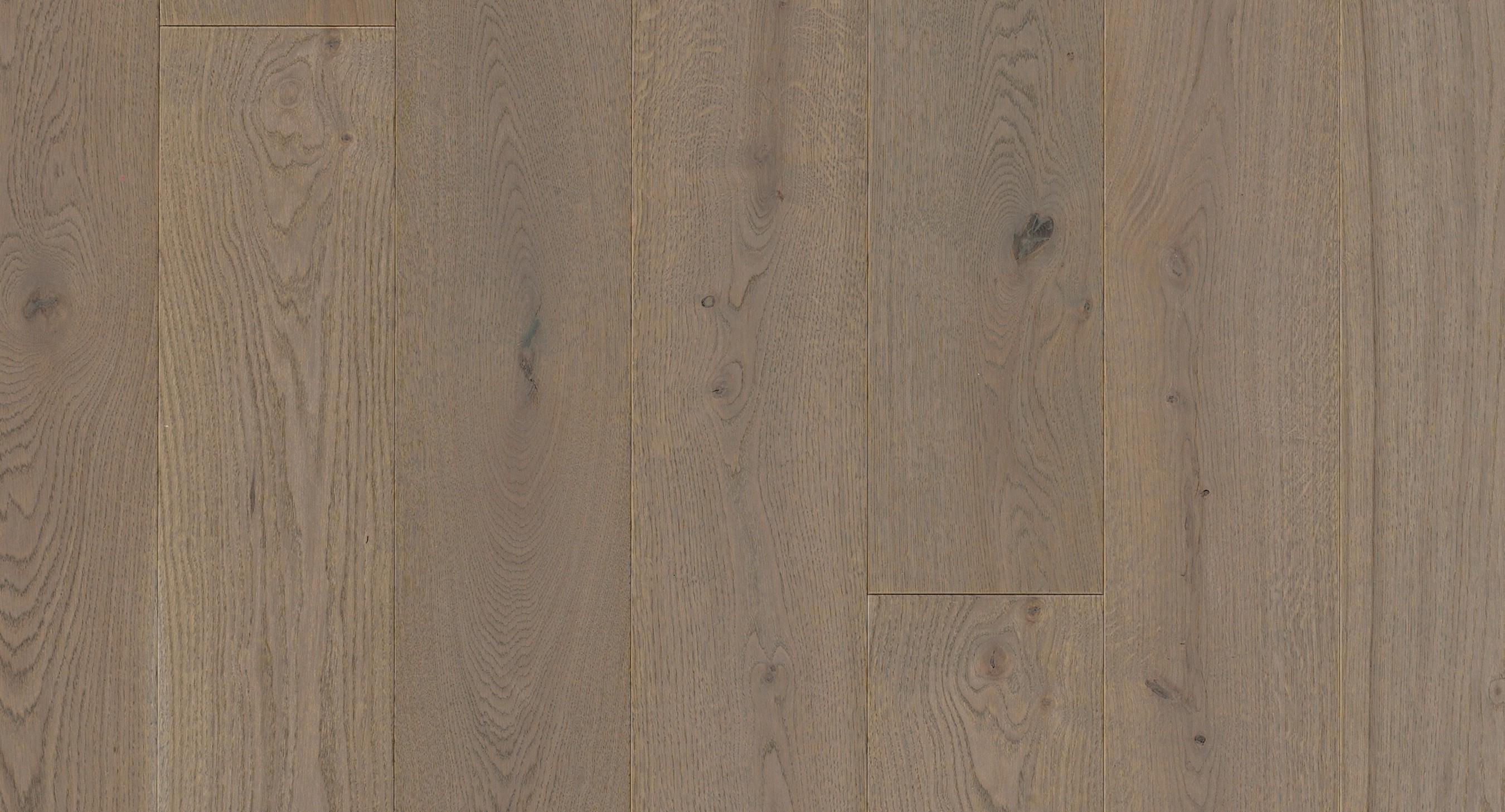 PARADOR Parkett Eiche Stone gebürstet Landhausdiele 4-seitige Mini-V-Fuge | Trendtime 4 | 31 m²-4014809176114