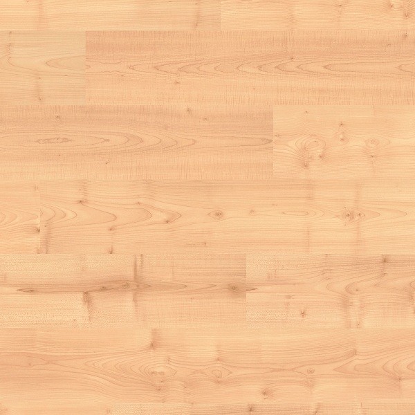 TER HÜRNE Laminat Ahorn puderbeige Landhausdiele | Vitality Line AkusTec | 8 m²-4012853073274