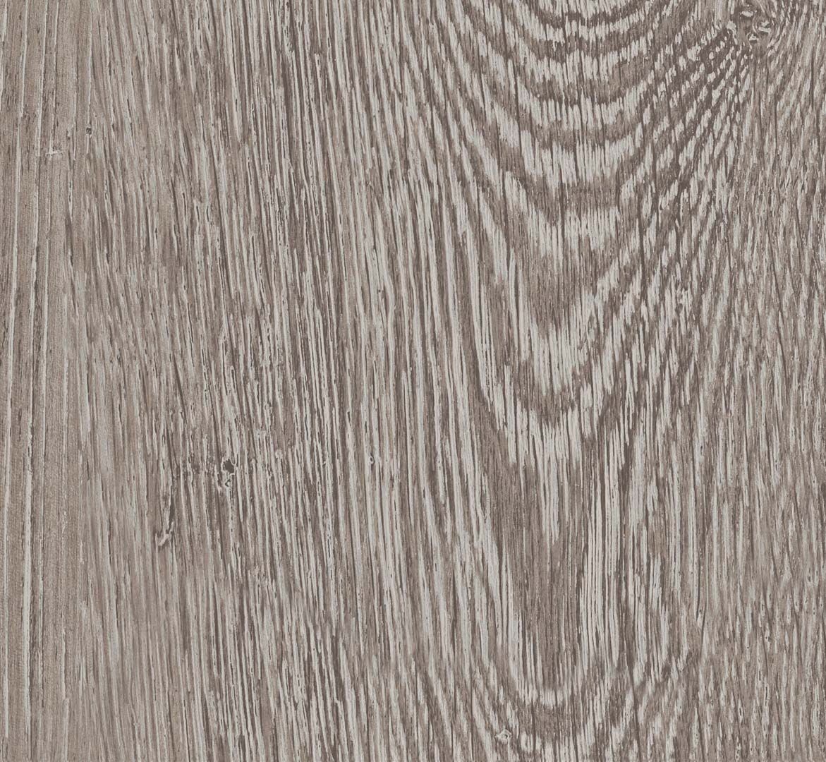 PARADOR Laminat Eiche lichtgrau Landhausdiele 4-seitige V-Fuge | Basic 200 | 22 m²-4014809170594