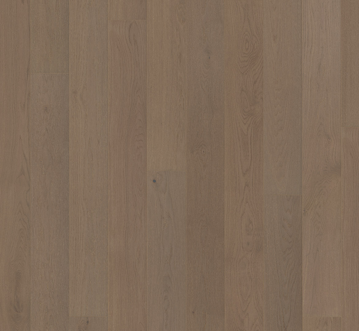 PARADOR Parkett Eiche Loft One Landhausdiele 4-seitige Minifase | Loft 160-1-4014809273790 guenstig bei bodenverkauf.de kaufen PARADOR Parkett Eiche Loft One Landhausdiele 4-seitige Minifase | Loft 160-1-4014809273790